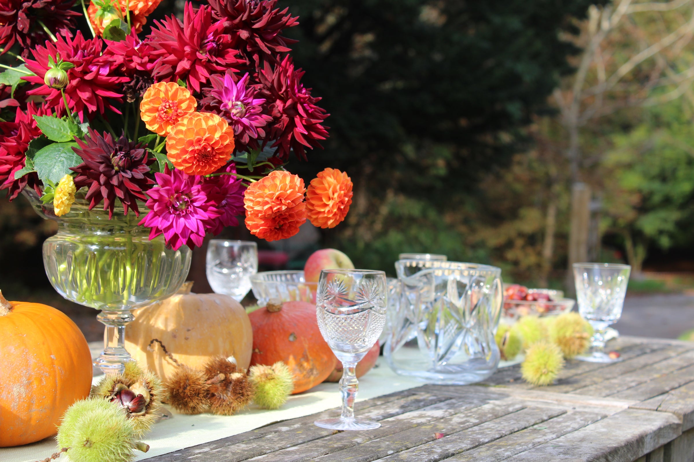 Stemware & Drinking Glasses