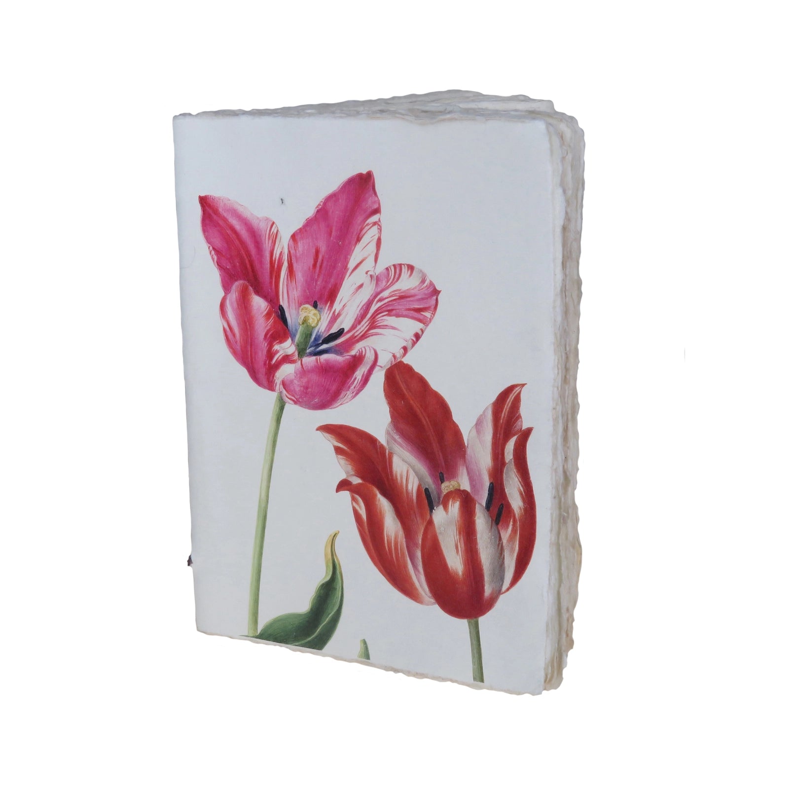Tulip A5 Parchment Paper Notebook
