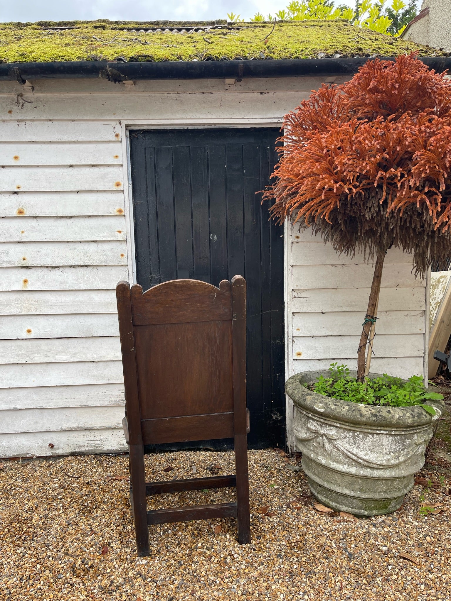 Antique Carved Greenman Wainscot Chair