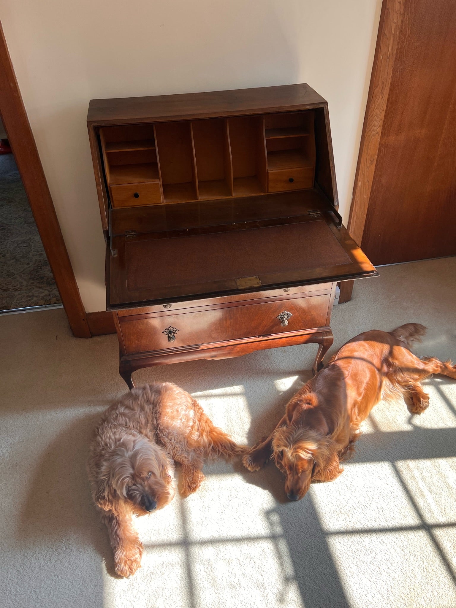 Antique Queen Anne Walnut Burr Bureau