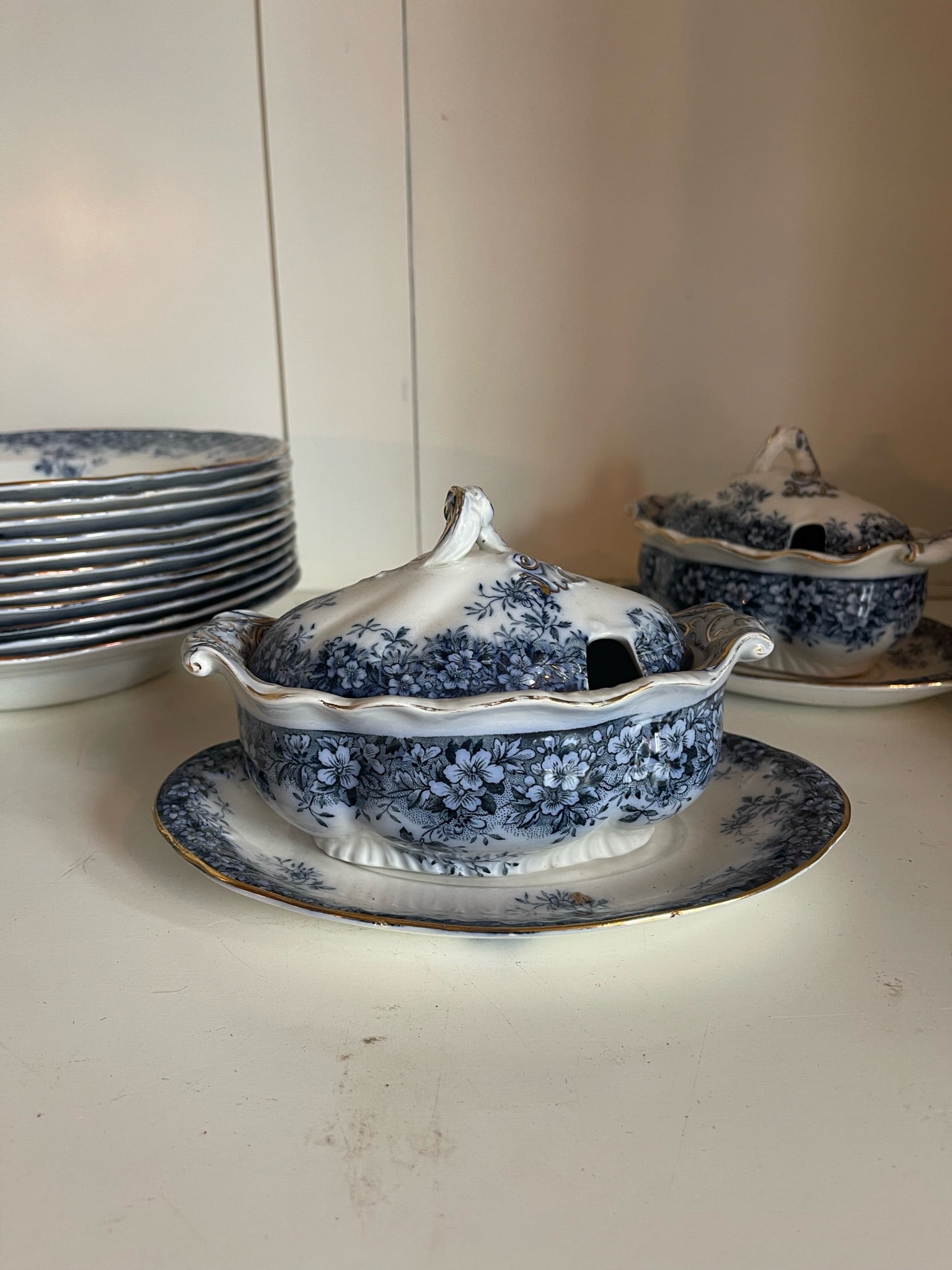 Booths' Semi Porcelain Canterbury Dinner Set