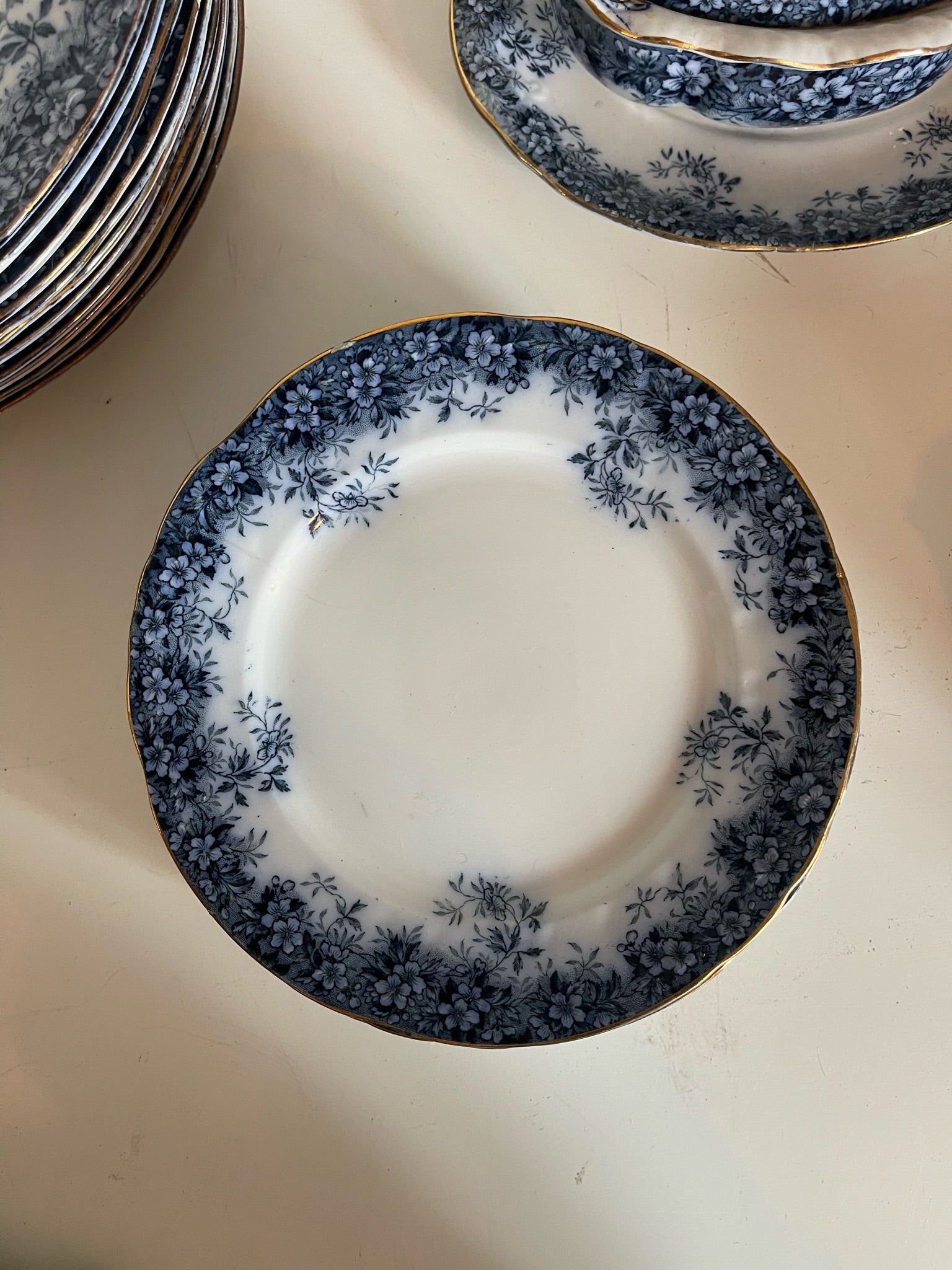 Booths' Semi Porcelain Canterbury Dinner Set