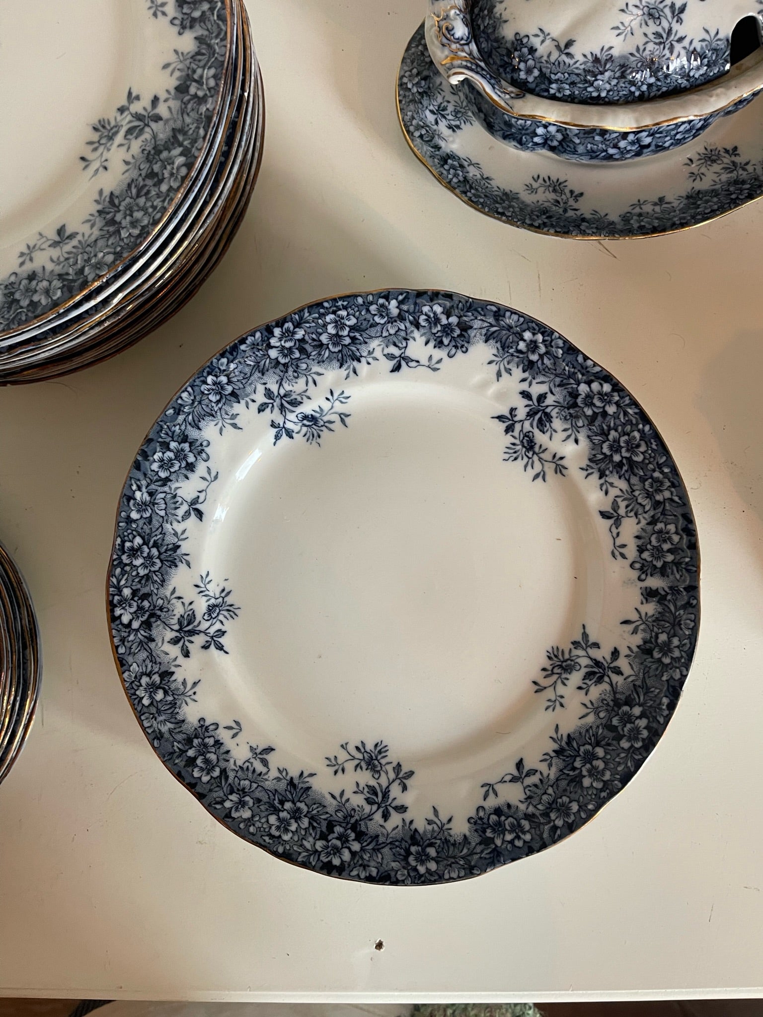 Booths' Semi Porcelain Canterbury Dinner Set