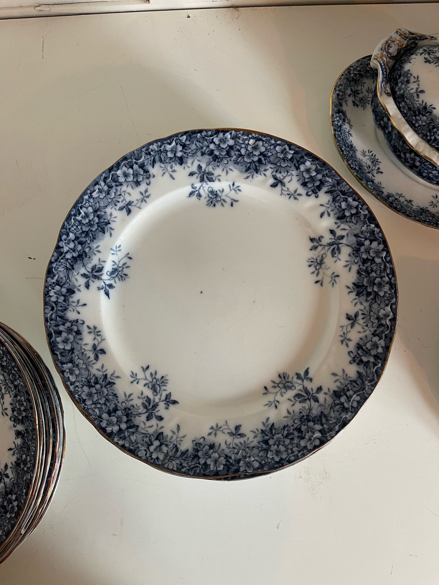 Booths' Semi Porcelain Canterbury Dinner Set
