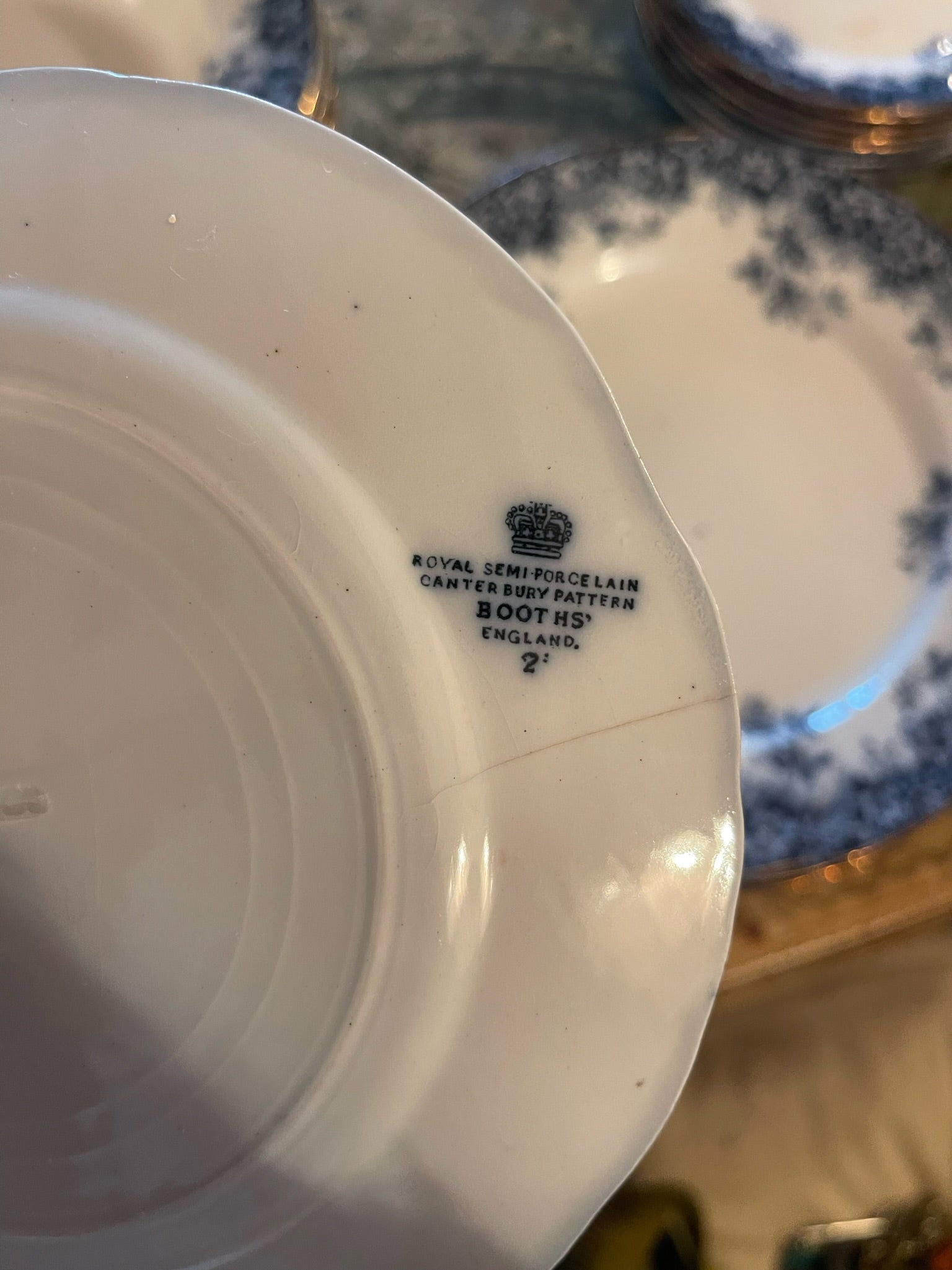 Booths' Semi Porcelain Canterbury Dinner Set