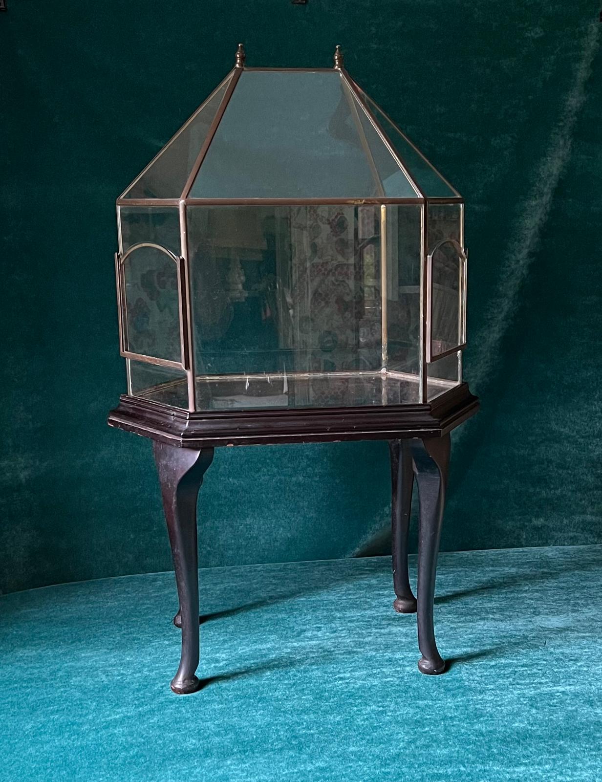 Victorian Terrarium