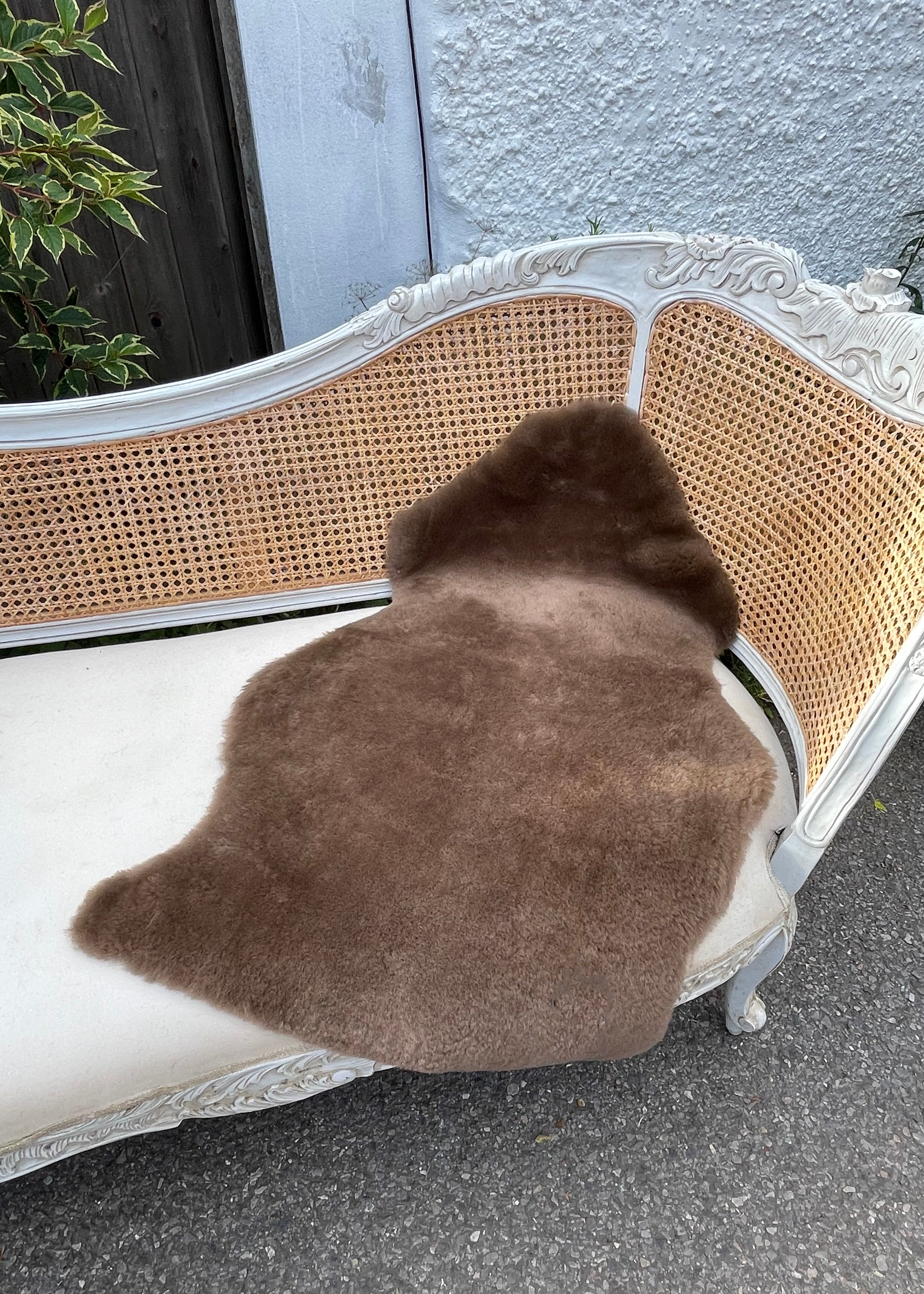 Single Shearling Rugs