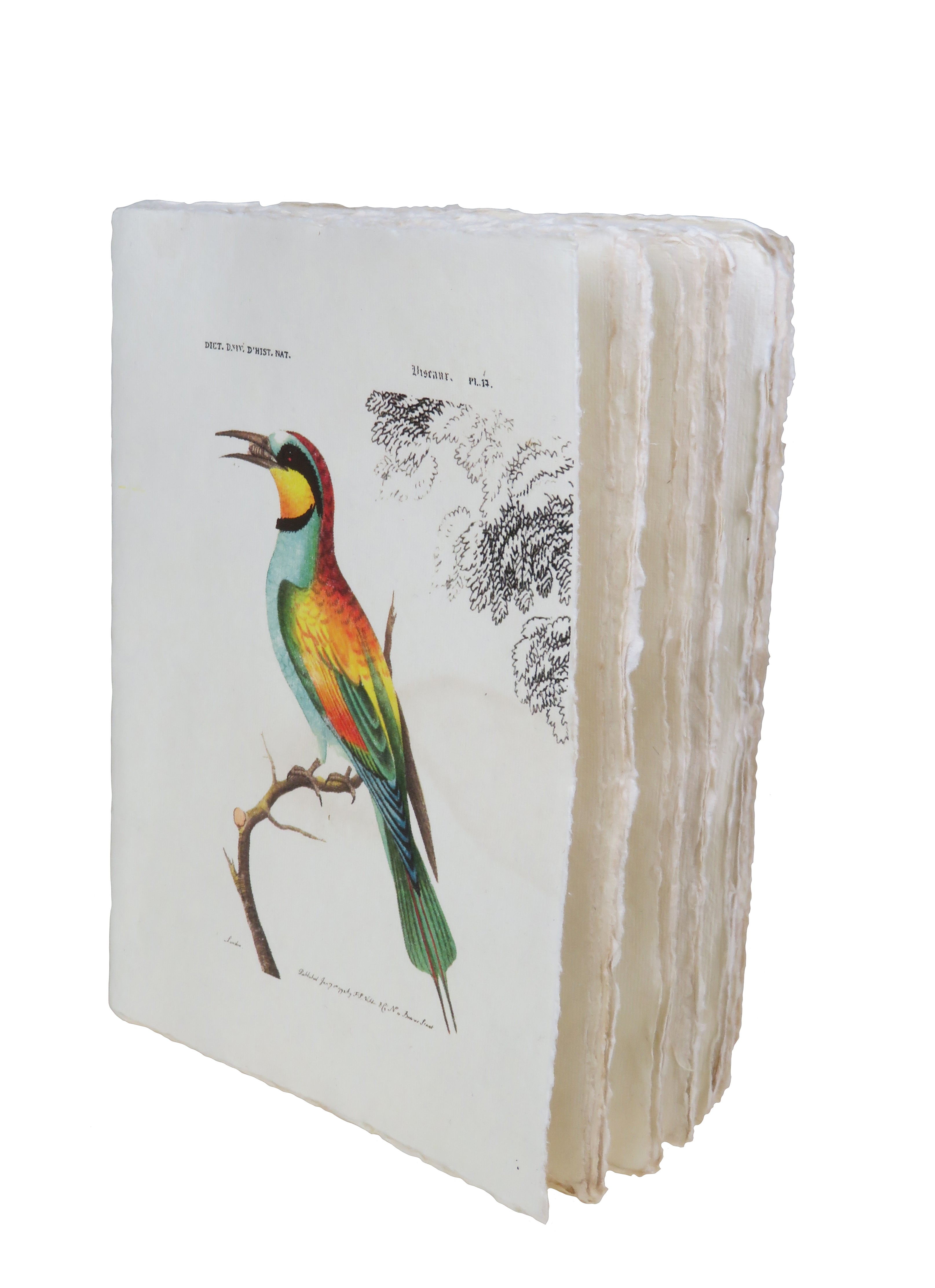 Tropical Bird Parchment Paper A6 Notebook