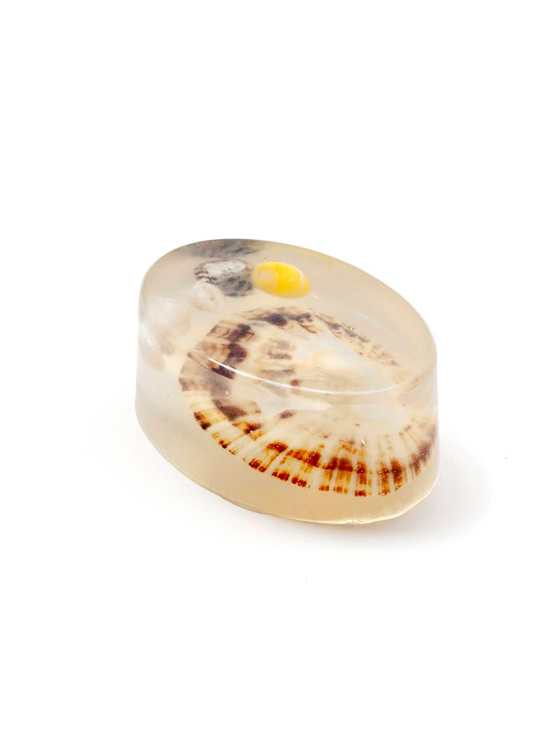 Chuckle Soaps Shells