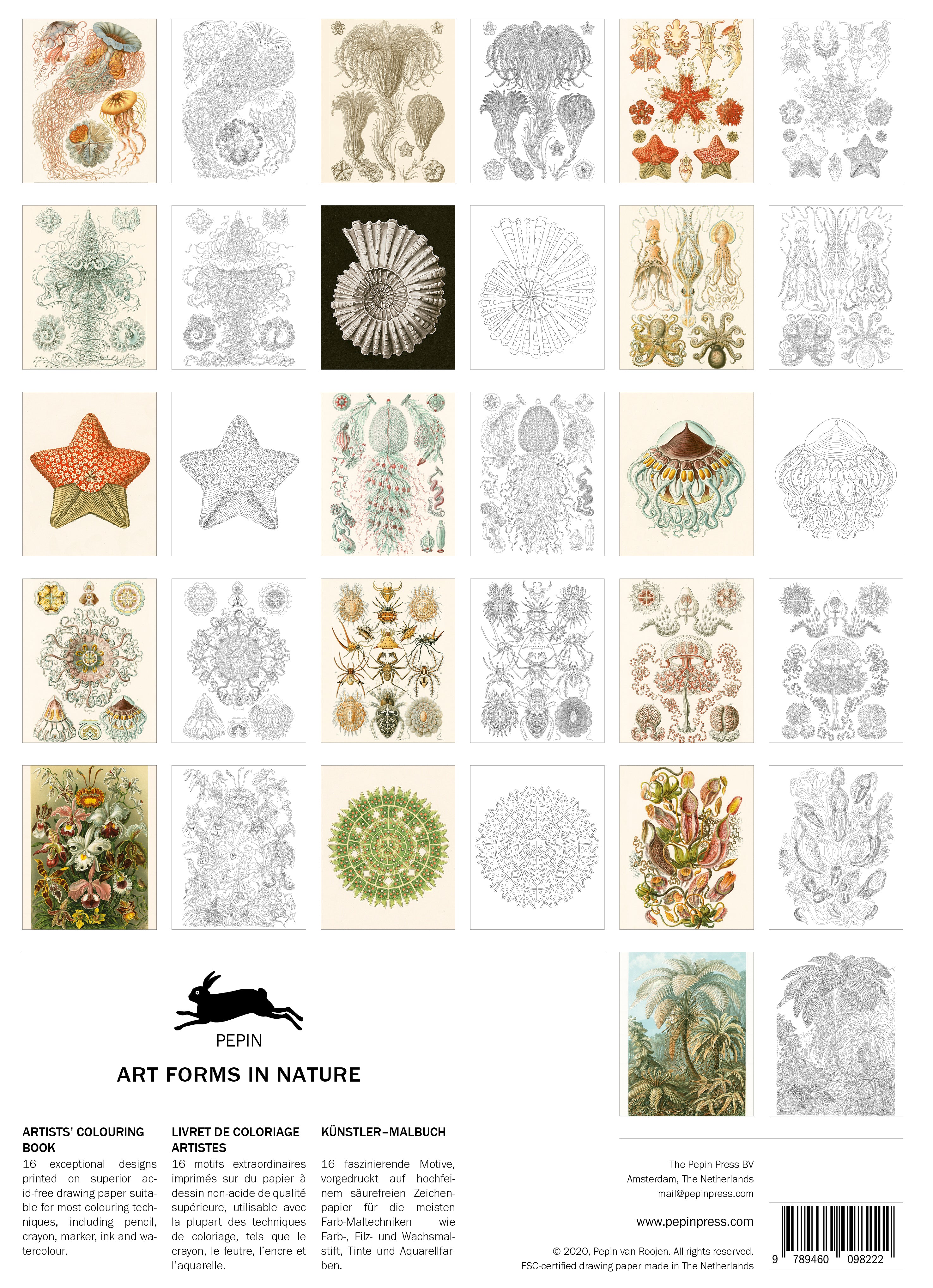 Art Forms in Nature Artist's Colouring Book