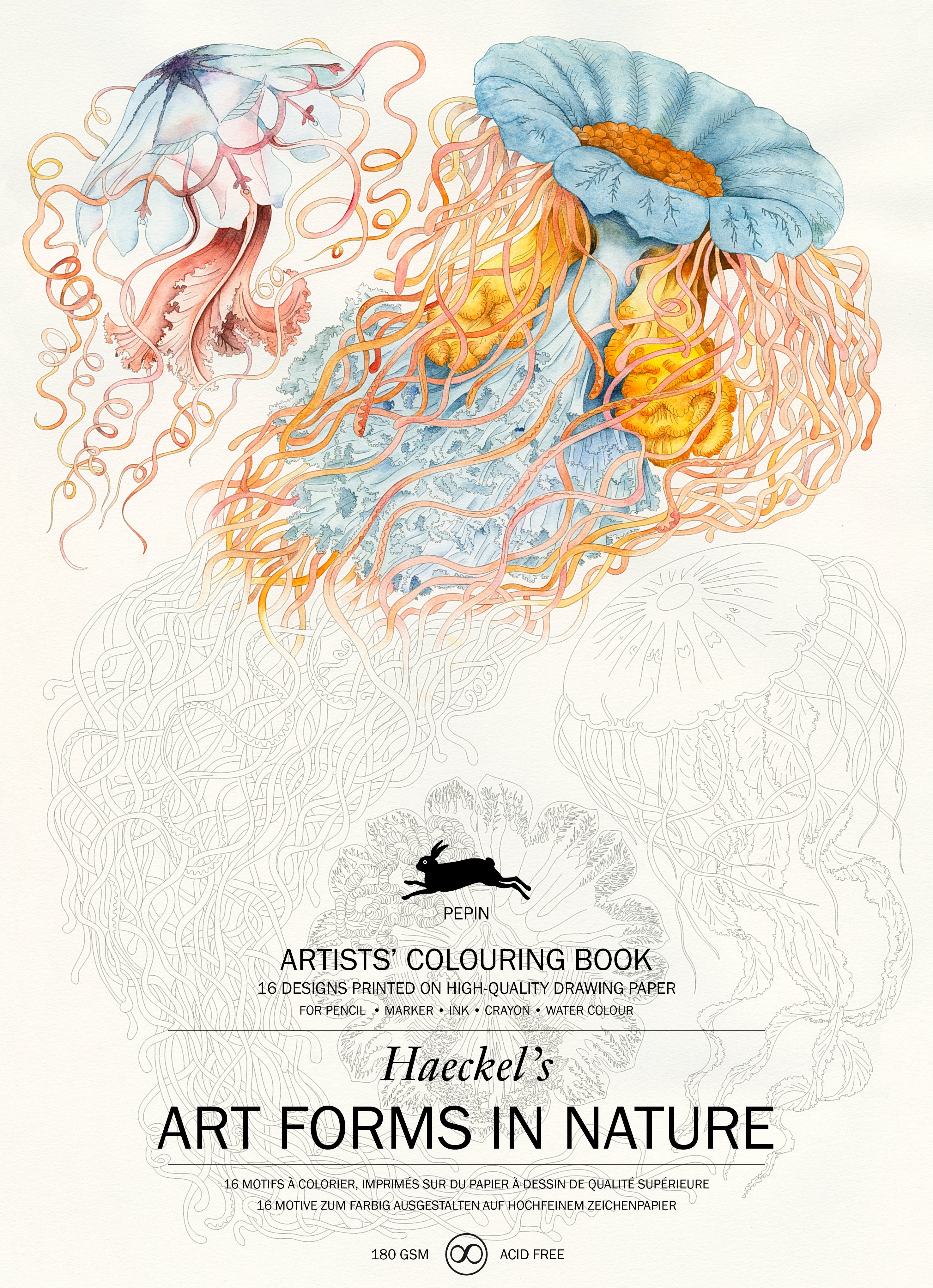 Art Forms in Nature Artist's Colouring Book