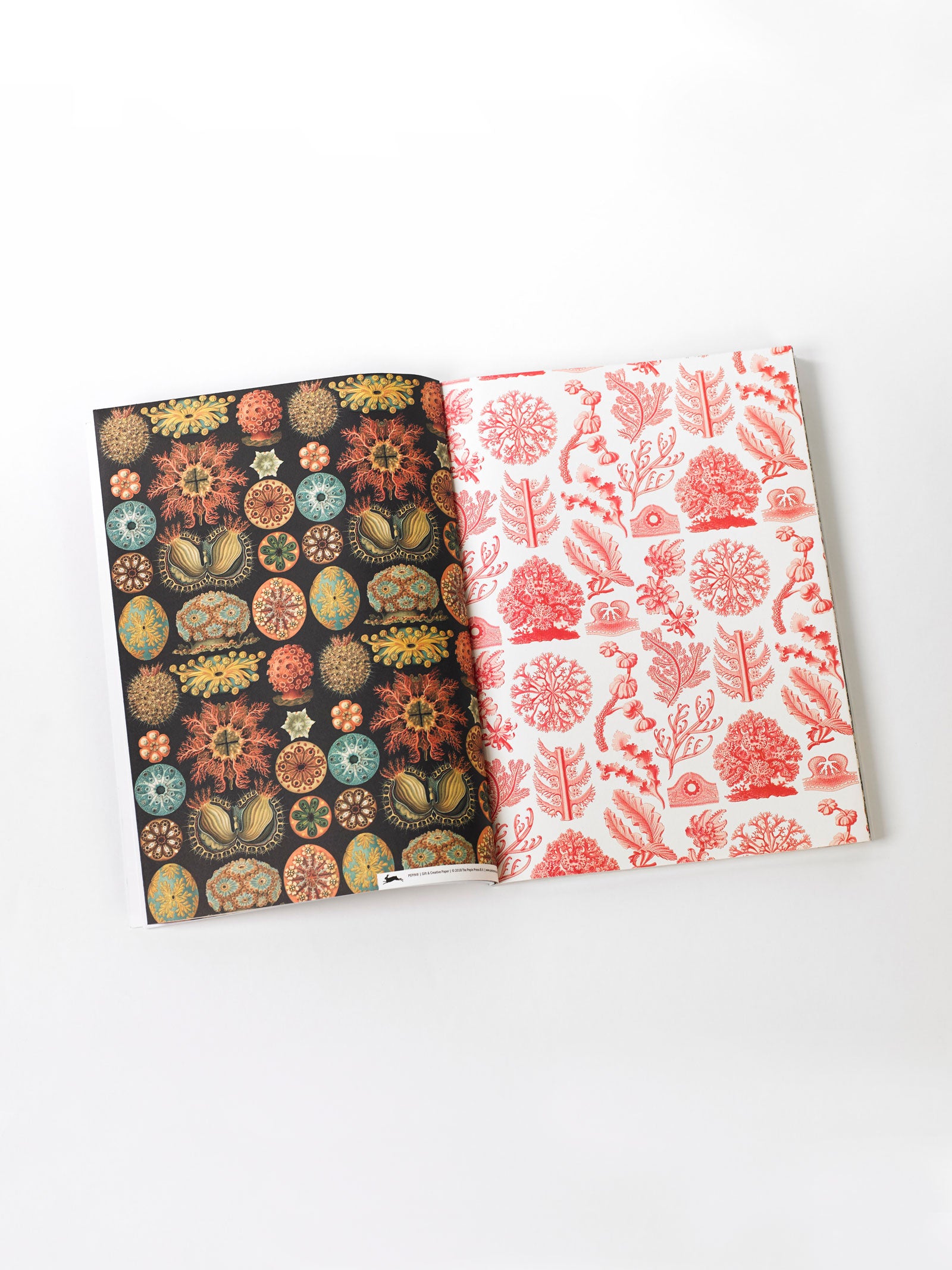 Art Forms in Nature Gift & Creative Paper