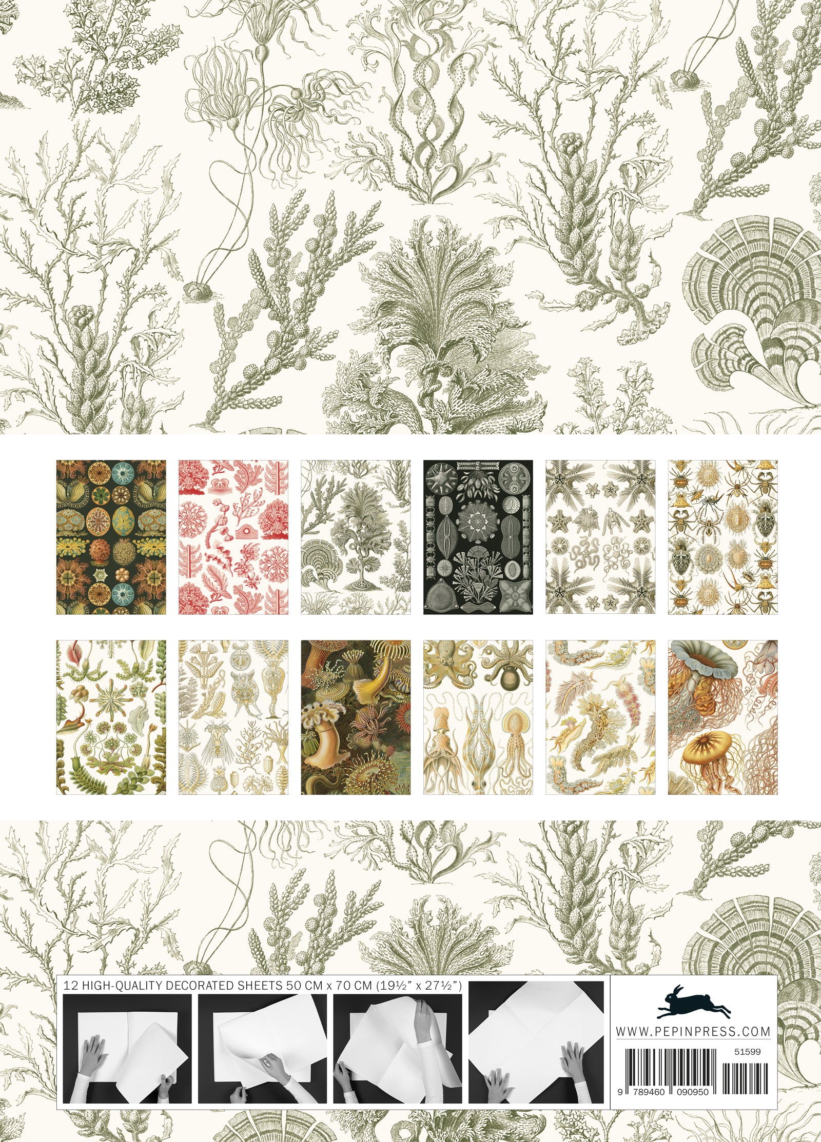 Art Forms in Nature Gift & Creative Paper