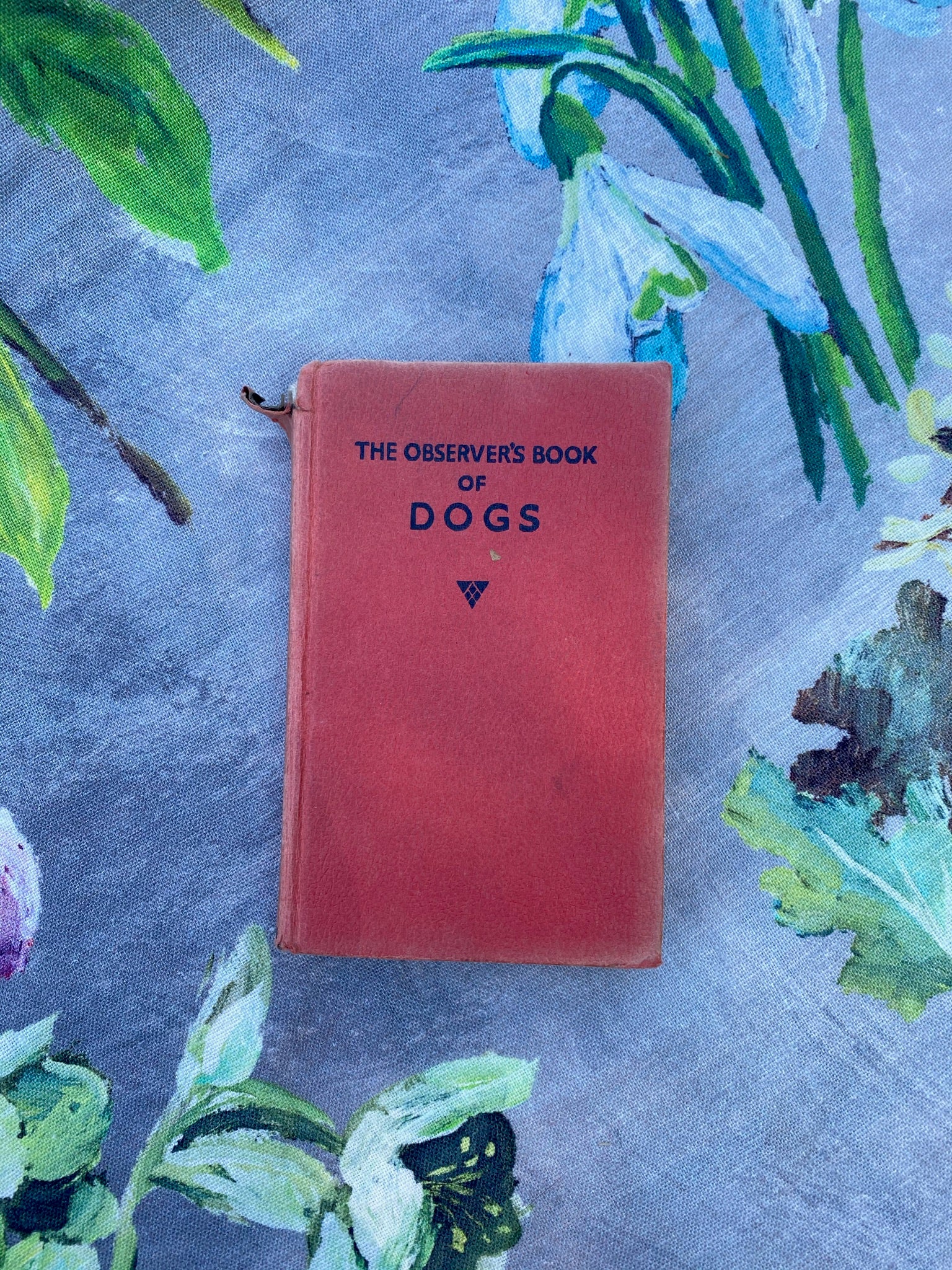 Vintage Observer Pocket Books