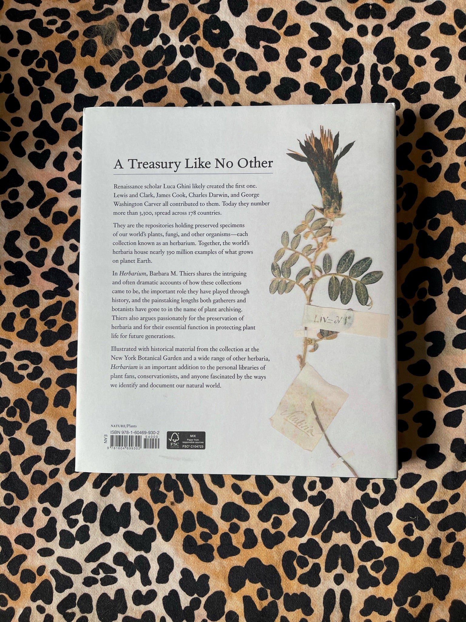 Herbarium by Barbara M. Thiers