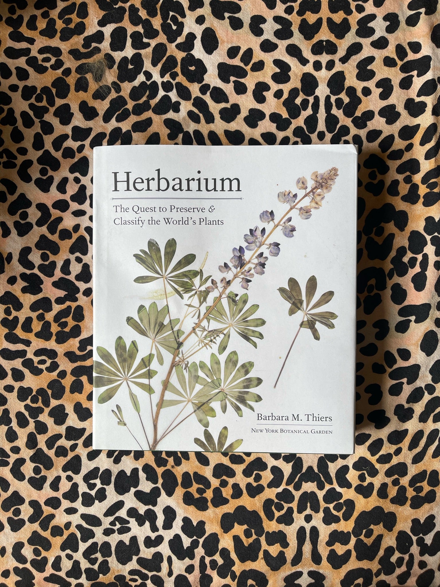 Herbarium by Barbara M. Thiers