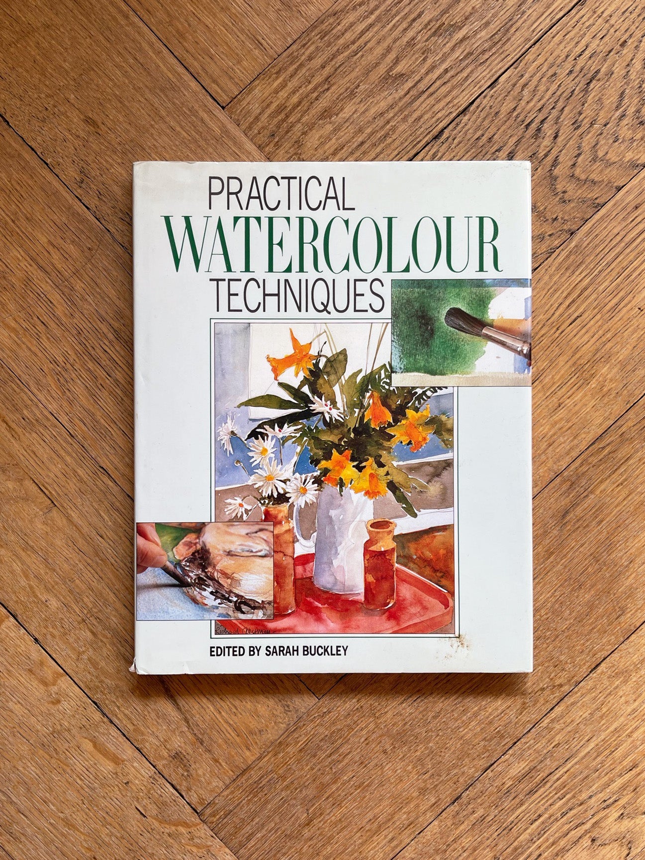 Practical Watercolour Techniques by Sarah Buckley