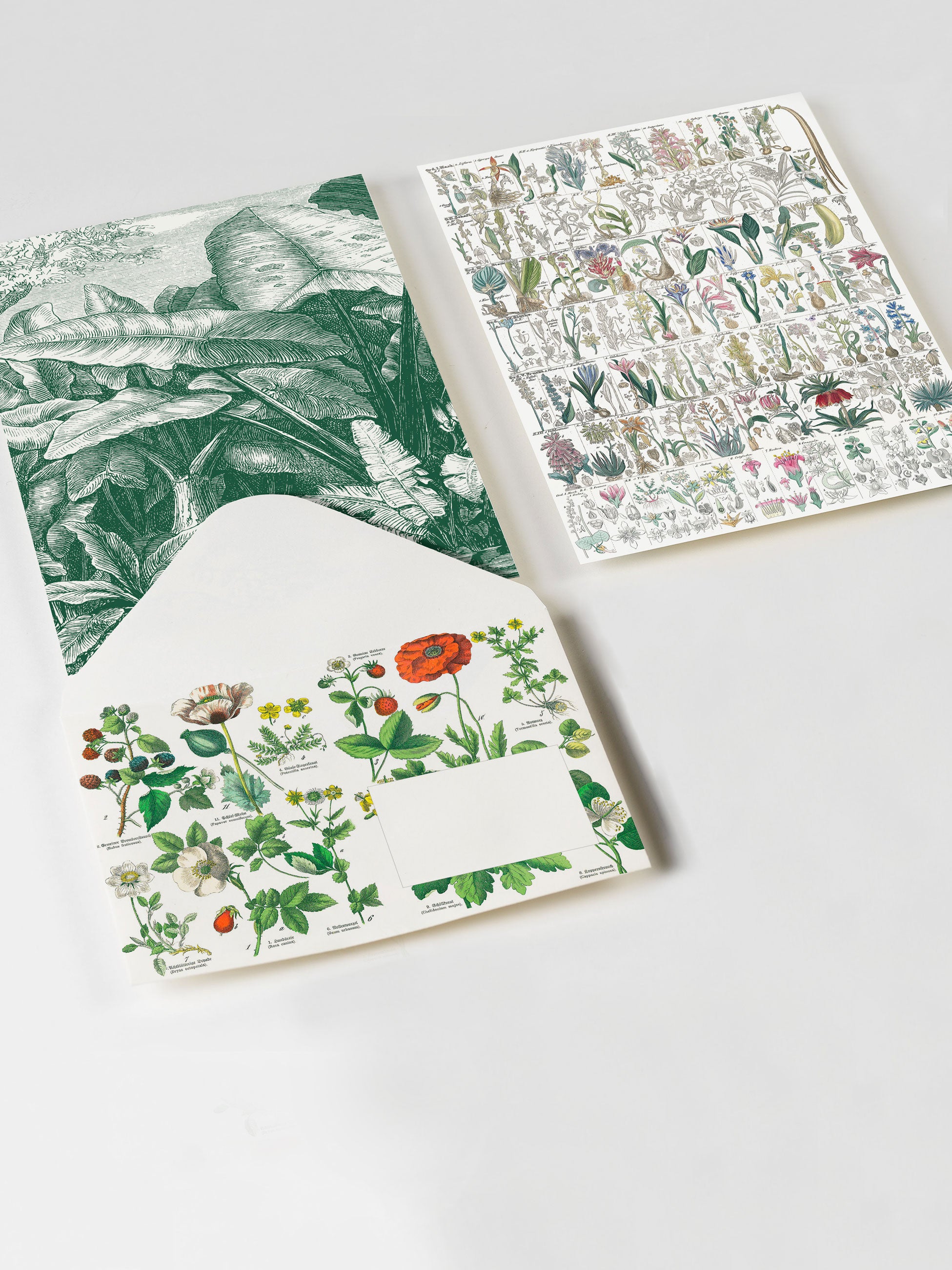 Botanical A5 Note Pad
