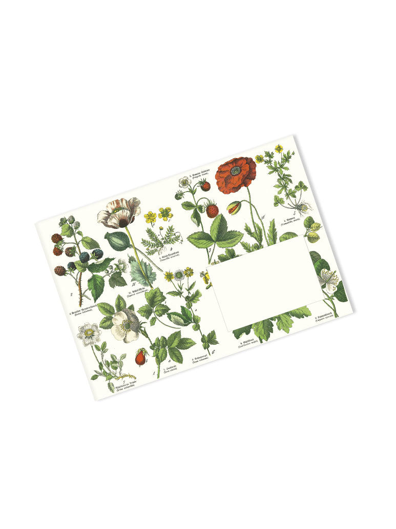 Botanical Envelopes