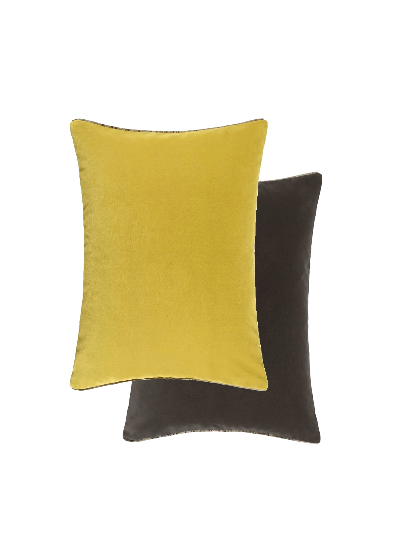 Cassia Alchemilla Velvet Cushion