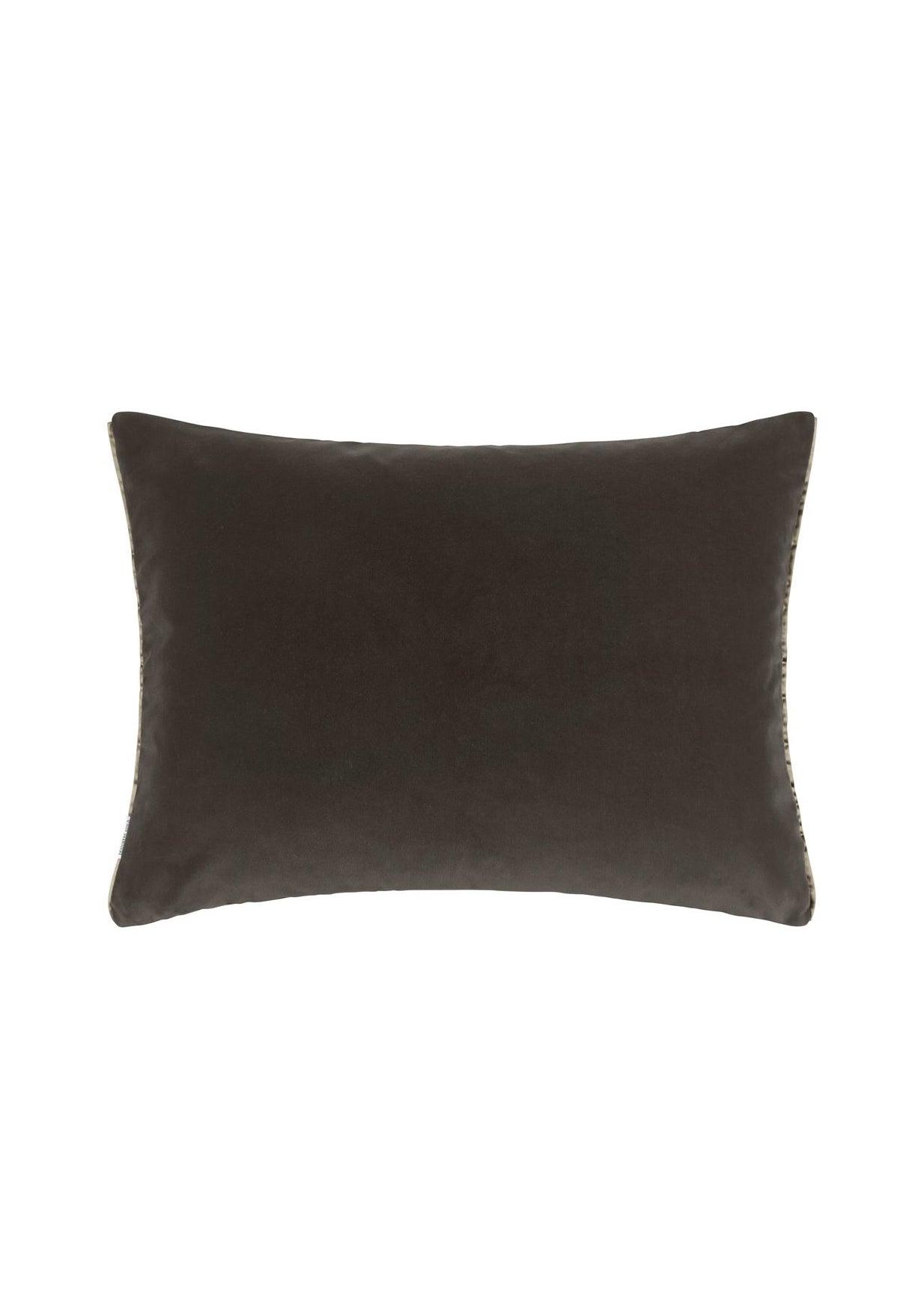Cassia Alchemilla Velvet Cushion
