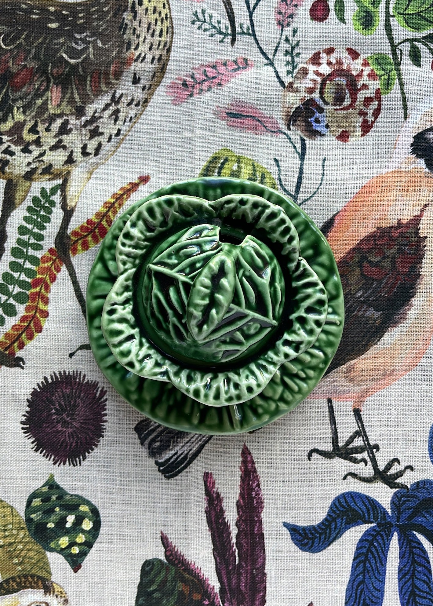 Cabbage Mustard Pot