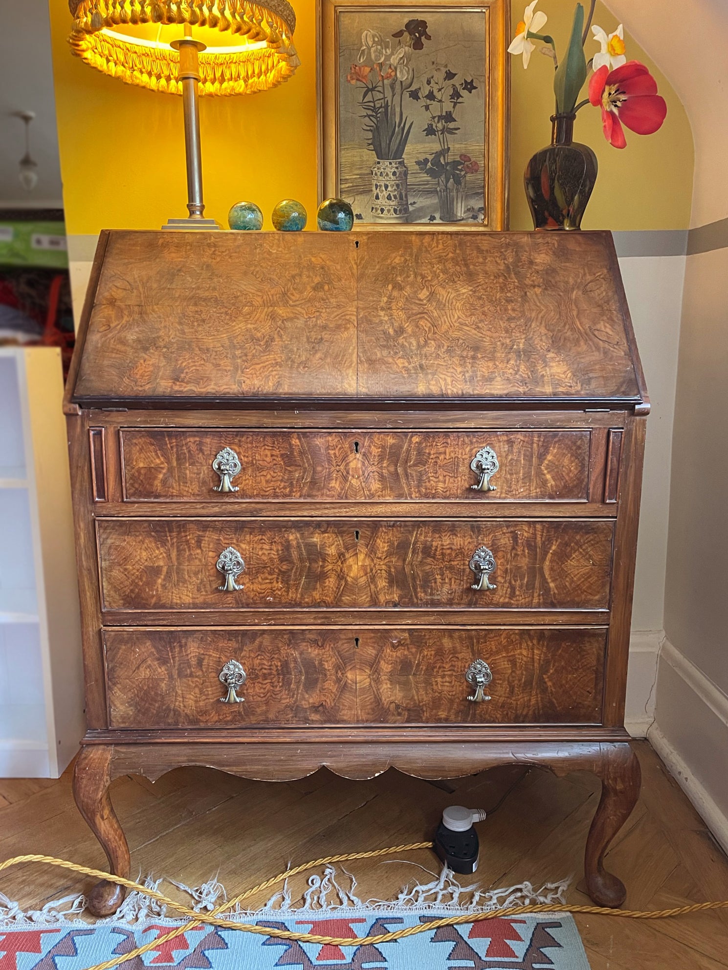 Antique Burr Walnut Bureau