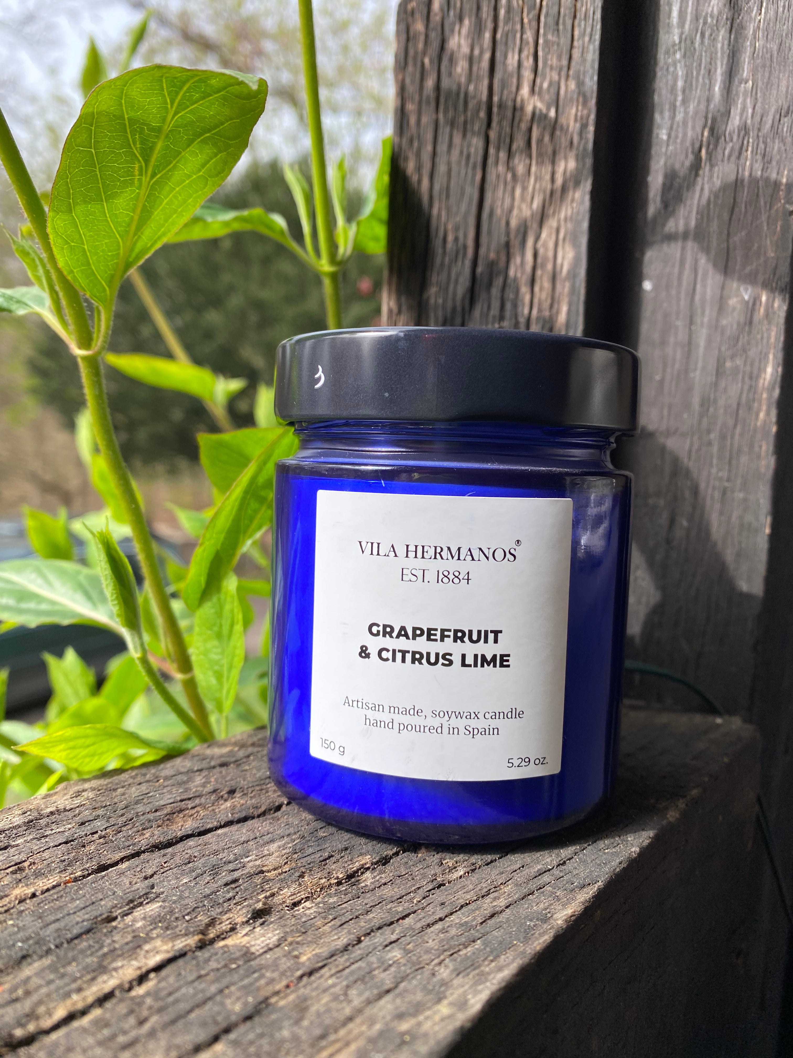 Vila Hermanos Soy Wax Candle - Grapefruit & Citrus Lime
