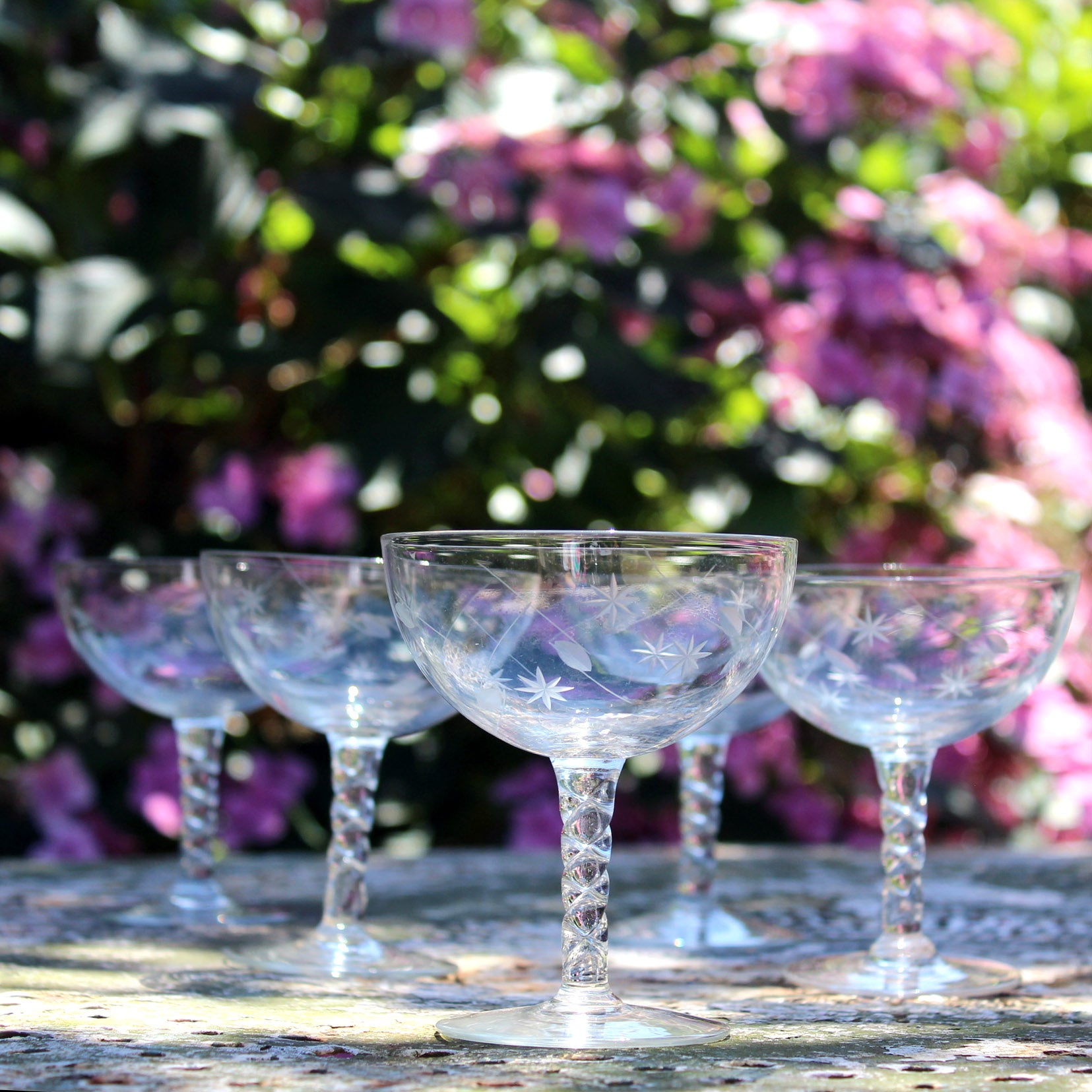 star leaf champagne coupe