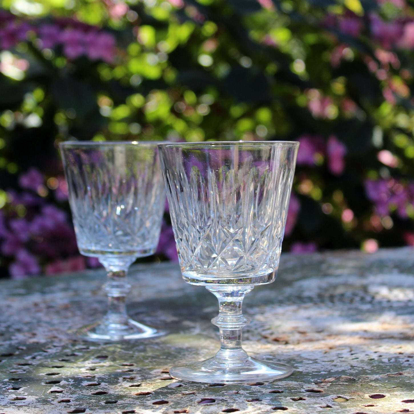 webb glasses