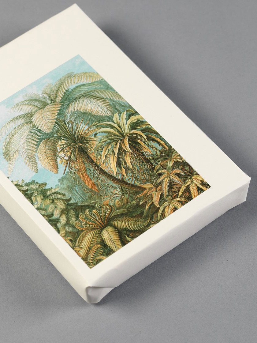 Art Forms in Nature Label, Sticker & Tape Book