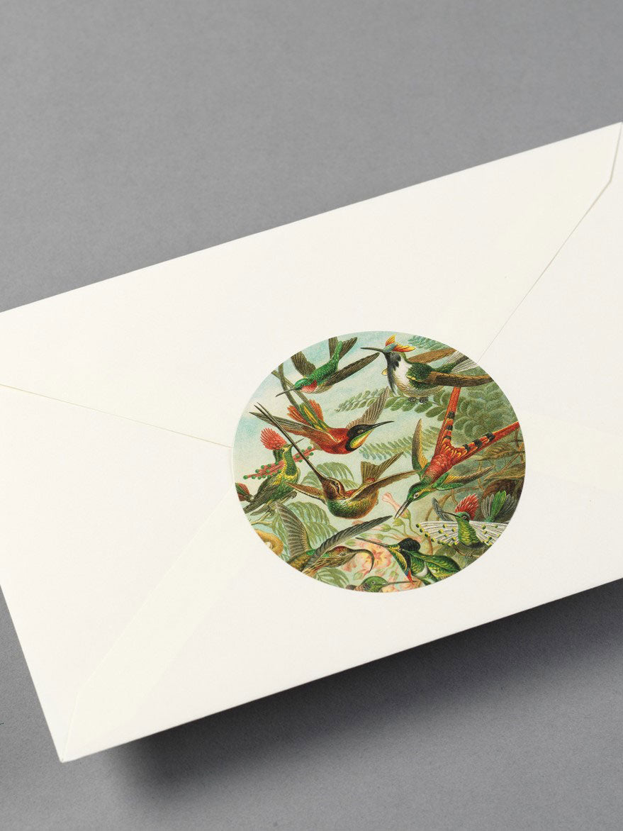 Art Forms in Nature Label, Sticker & Tape Book