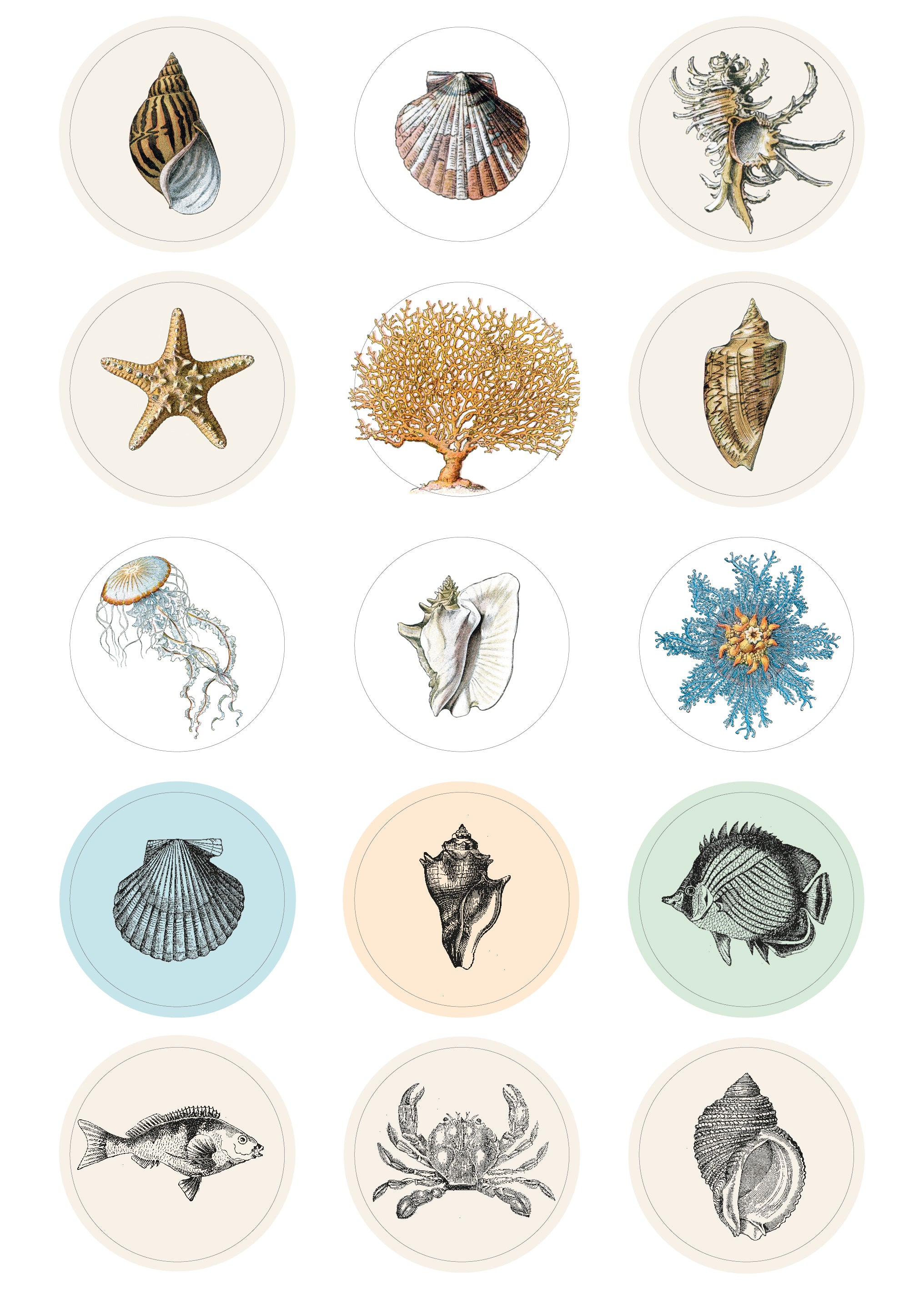 Natural History Label, Sticker & Tape Book