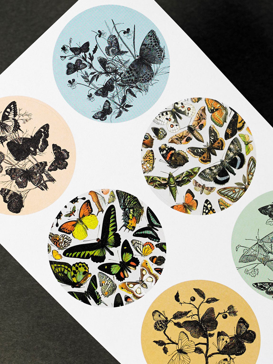 Natural History Label, Sticker & Tape Book