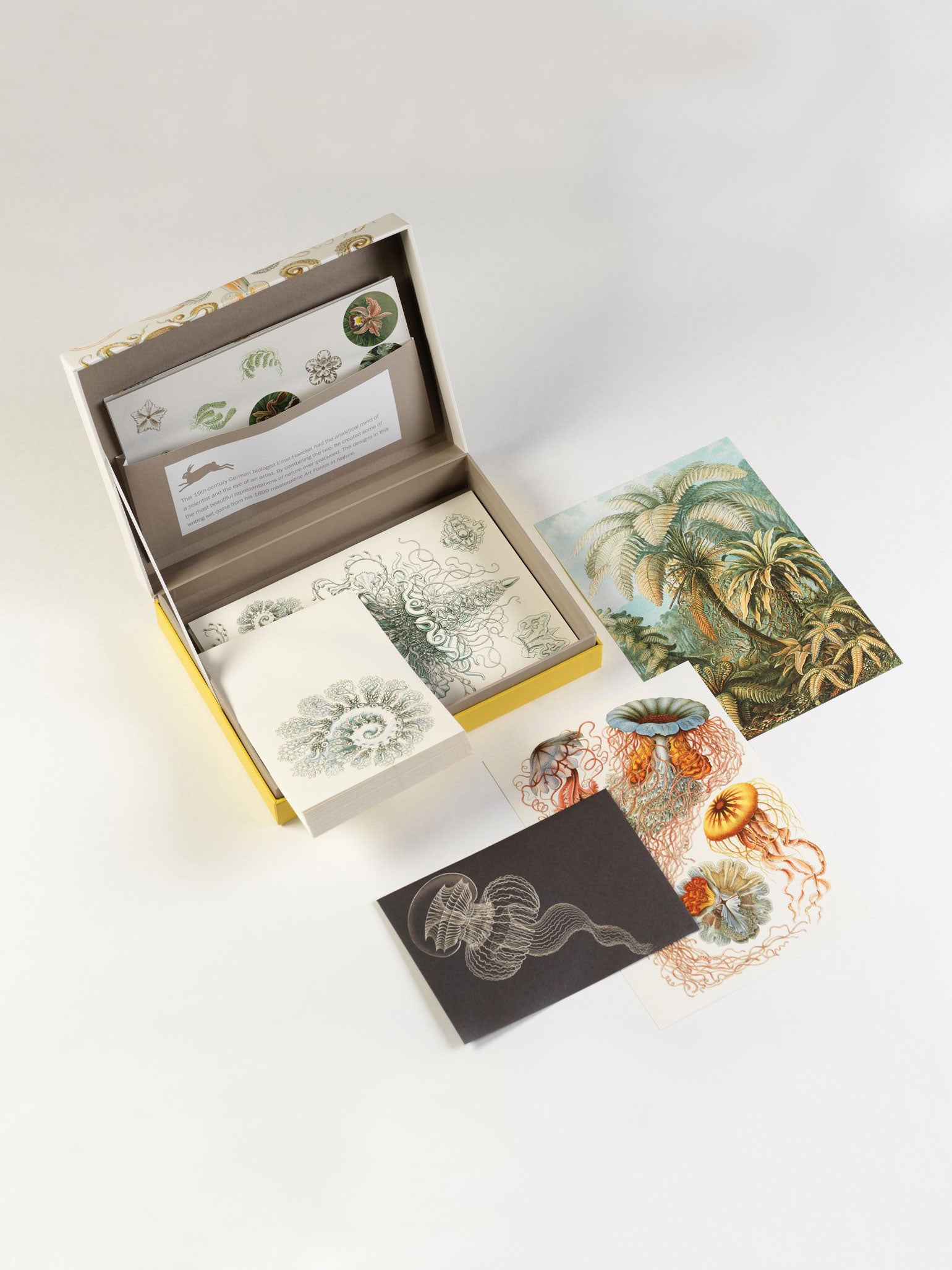 Art Forms in Nature Letter Writing Set