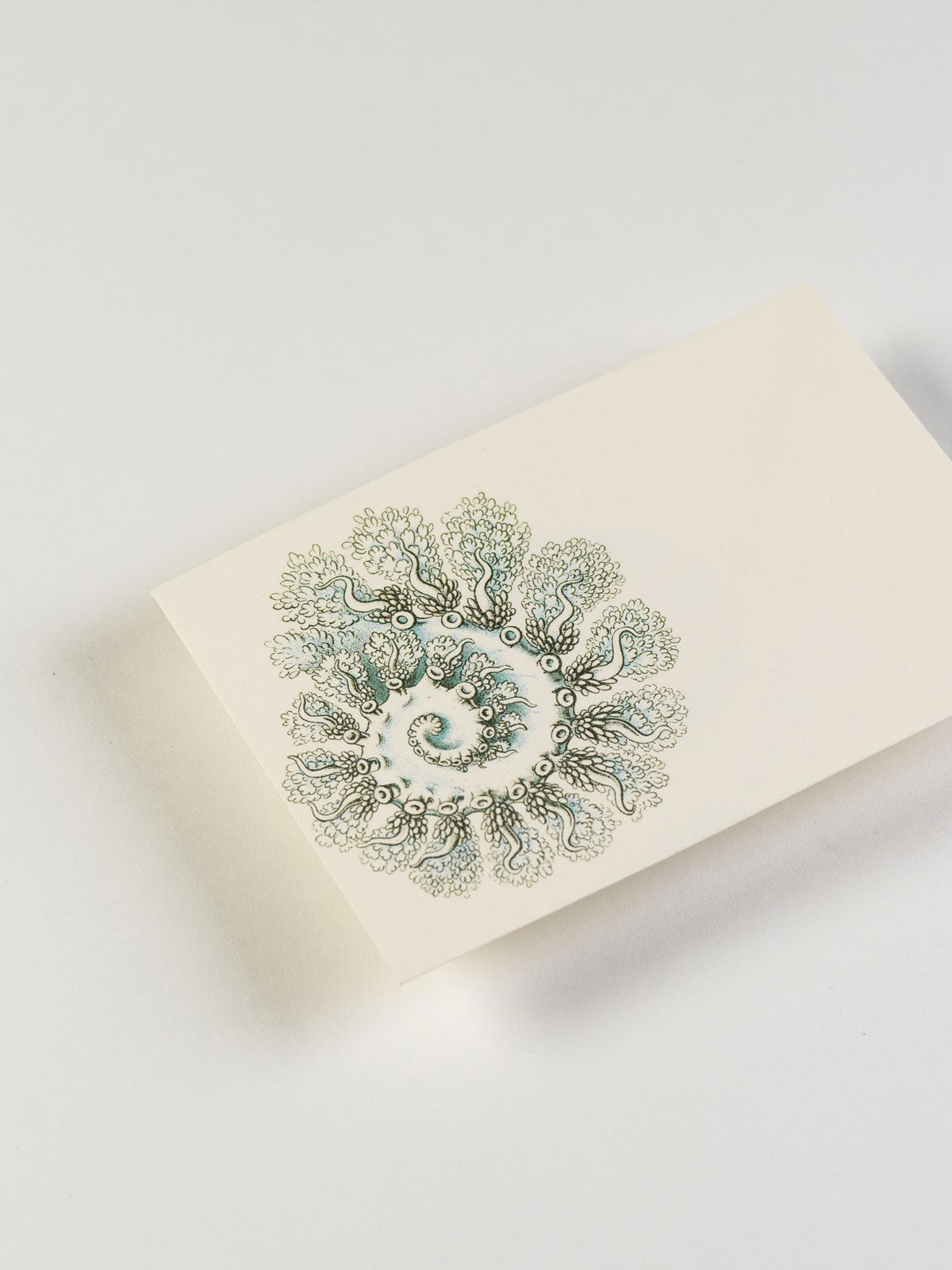 Art Forms in Nature Letter Writing Set