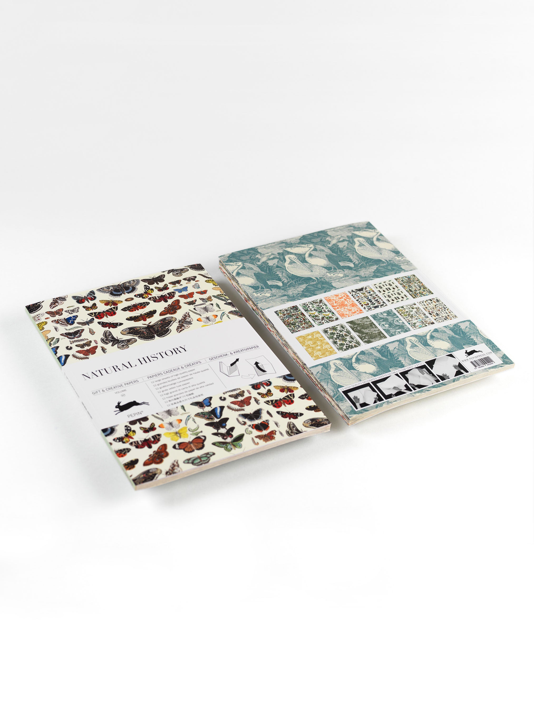 Natural History Gift & Creative Paper