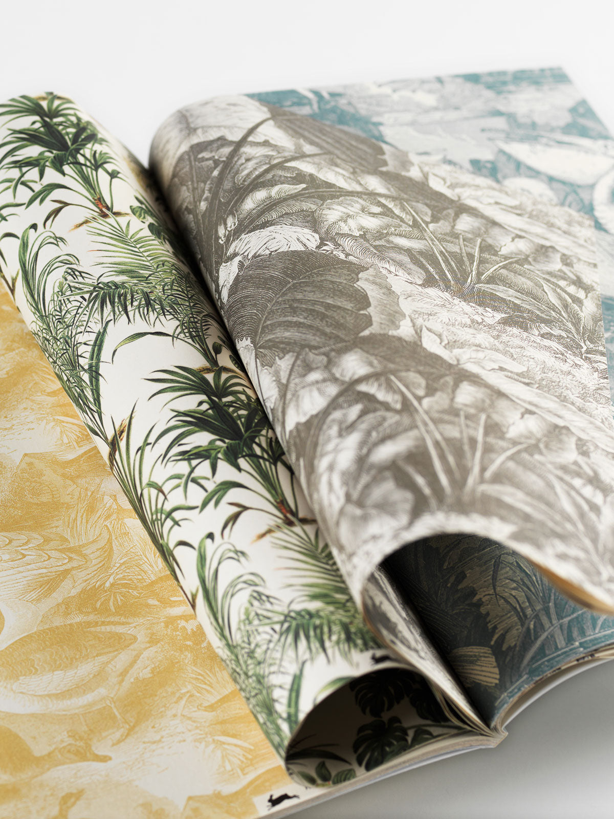 Natural History Gift & Creative Paper