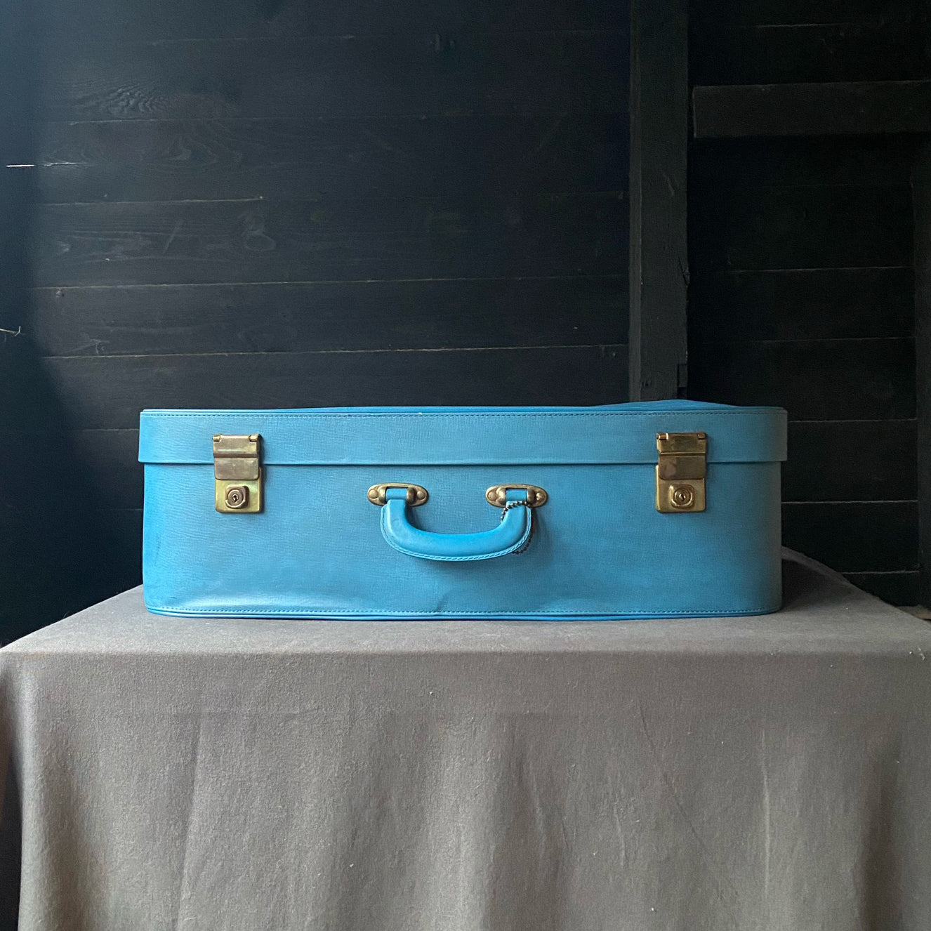 Vintage 1950s Pair of Blue Buffalo Suitcases
