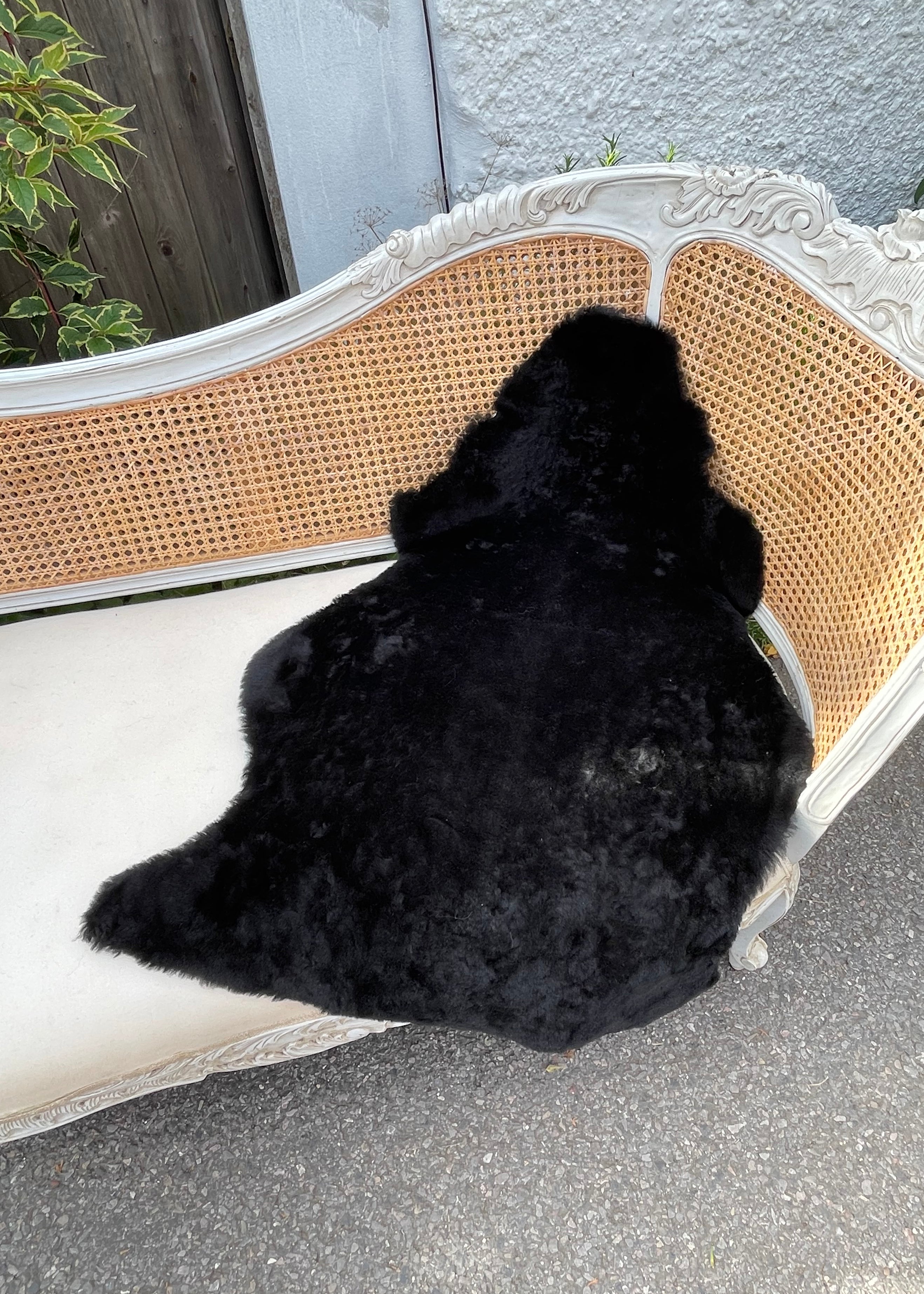 Single Sheepskin Rug - Ten Colours