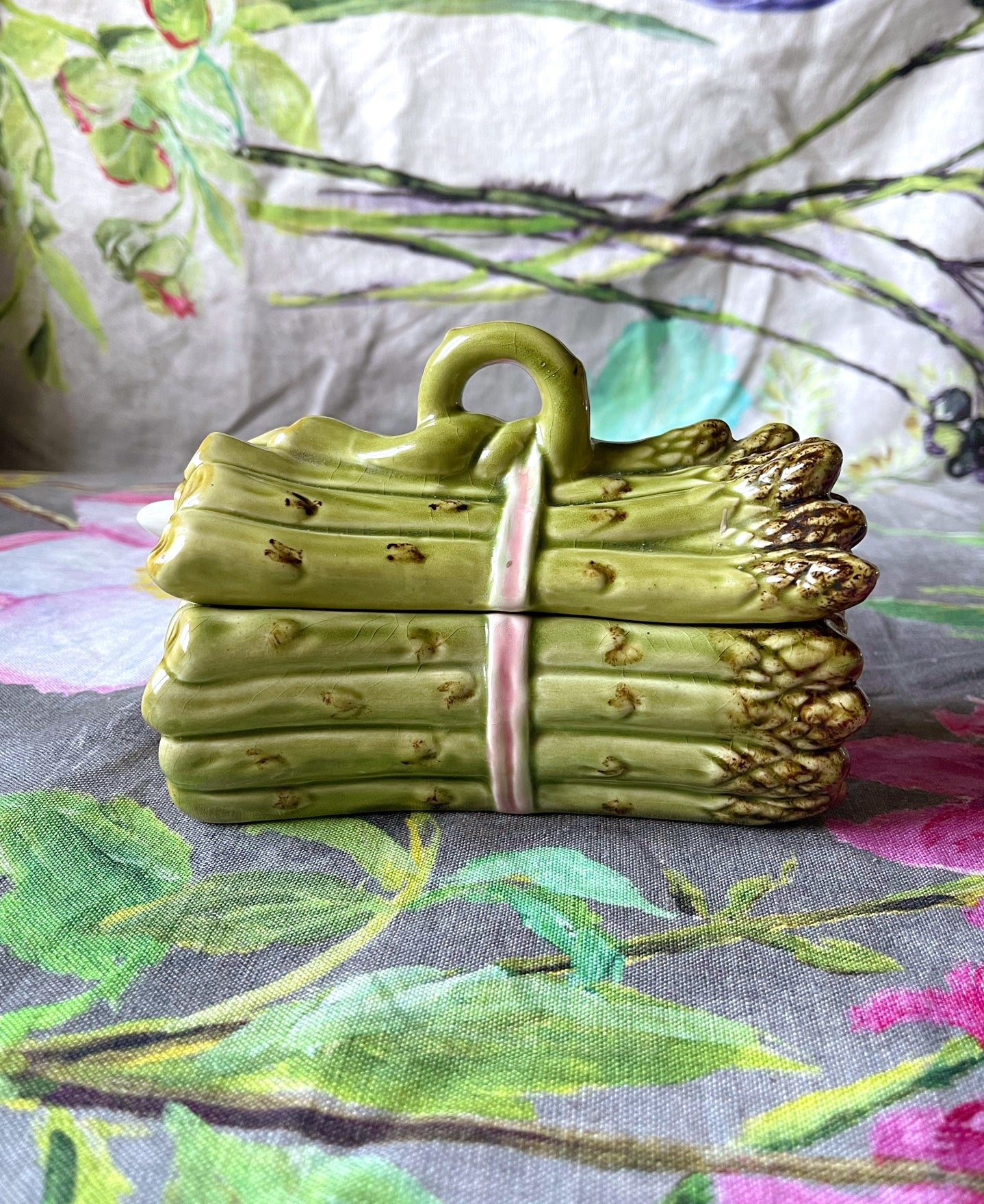 Vintage Majolica Asparagus Dish with Lid & Spoon