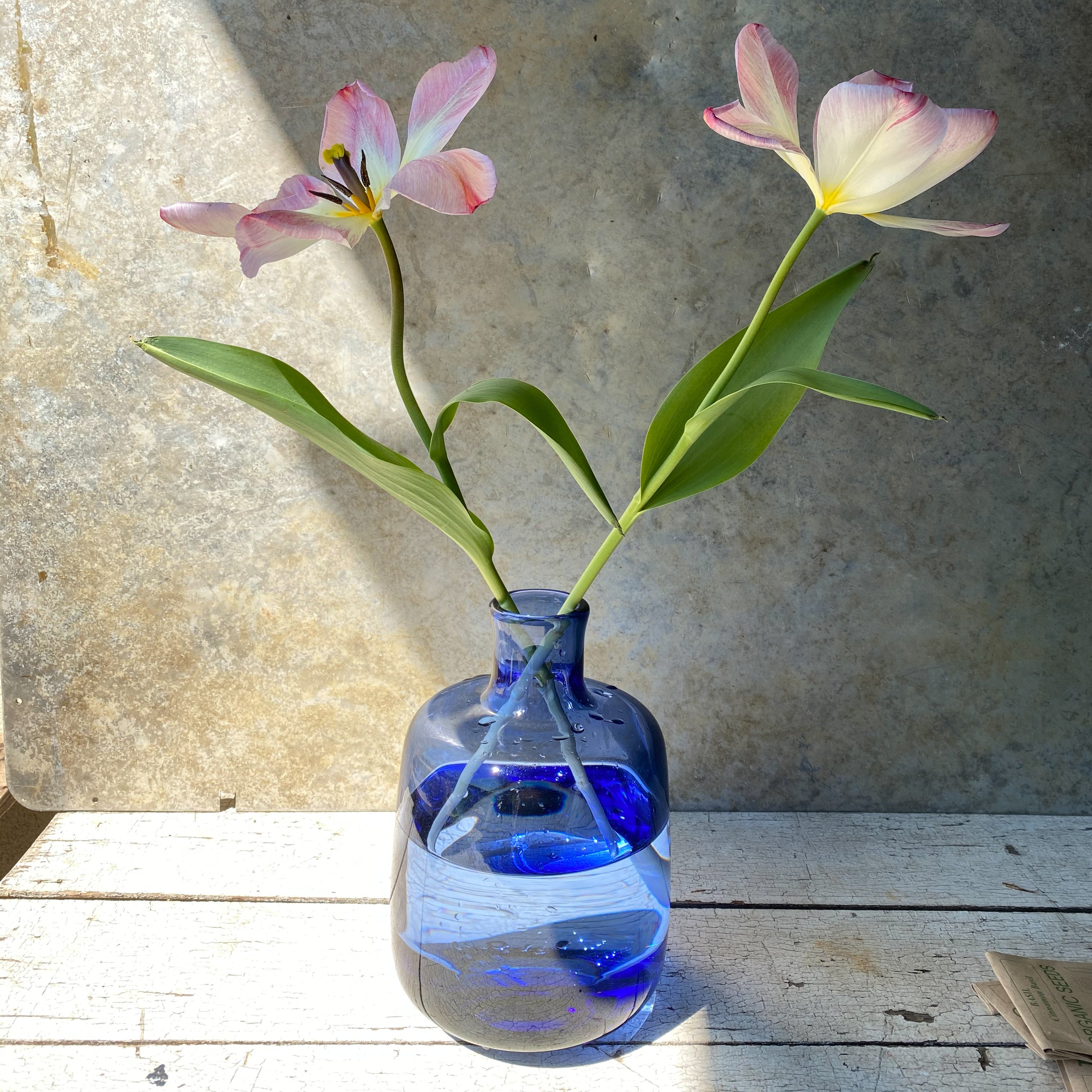 Bulbous Bell Jar Vase