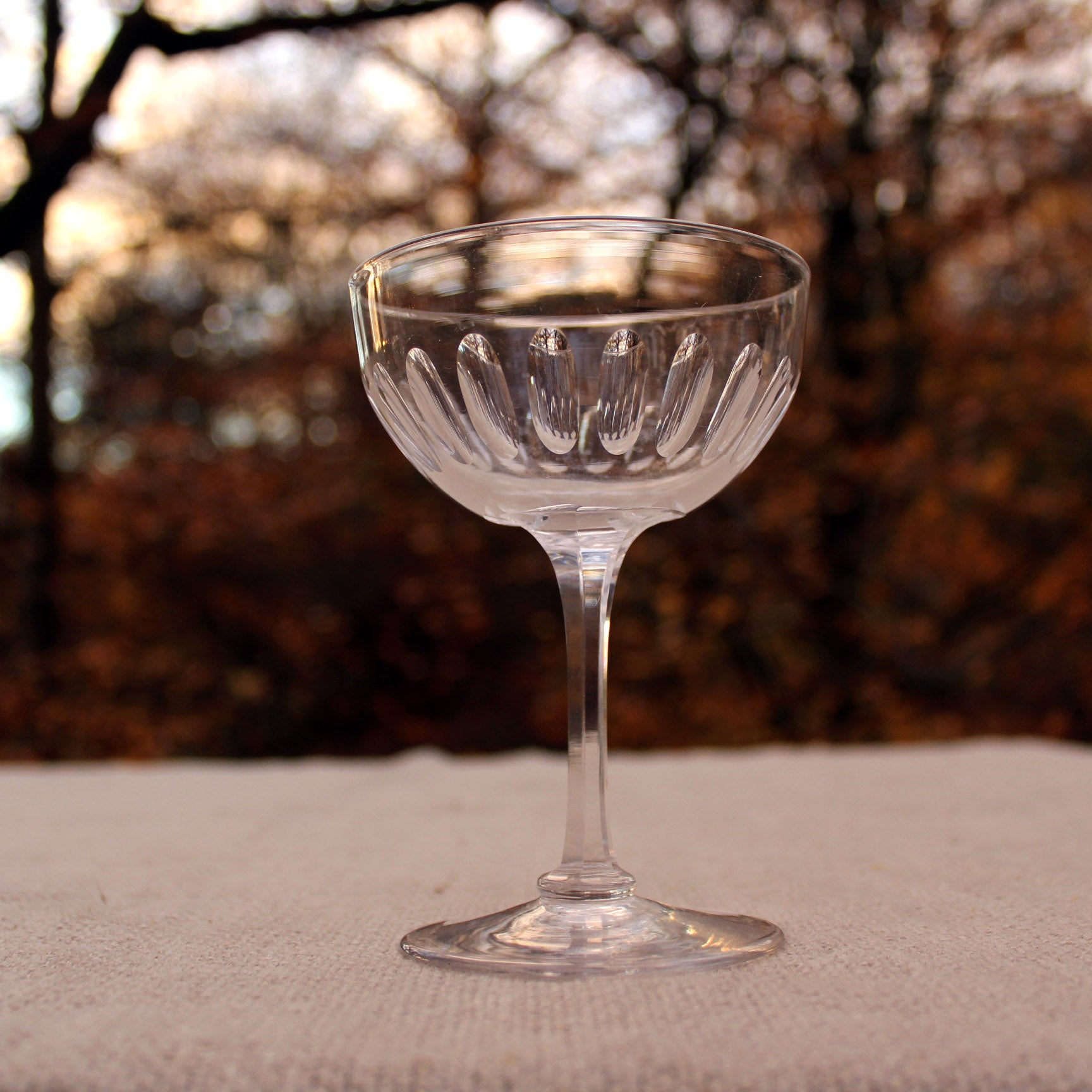 Champagne Coupe