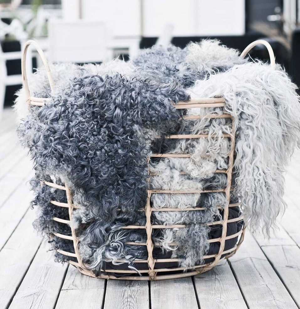 gotland sheepskin