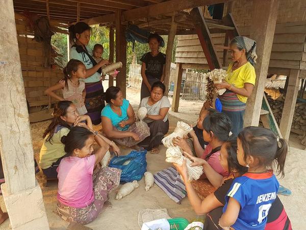 The Junglevine Foundation