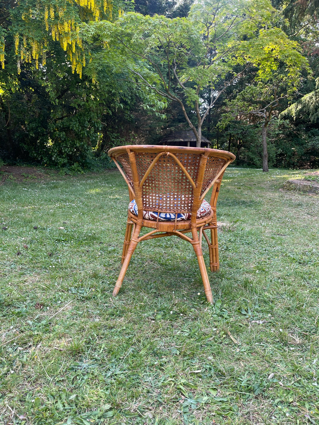 1960s Bamboo &amp; Cane Sofa and Two Chairs Set