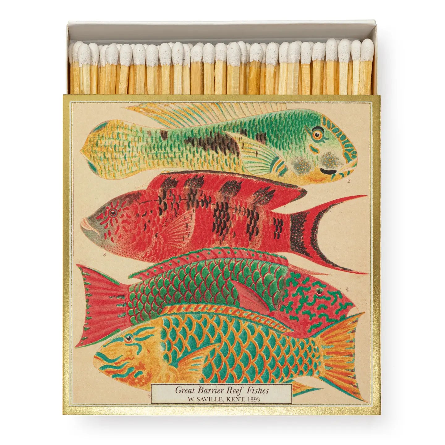 Fish - Safety Matches