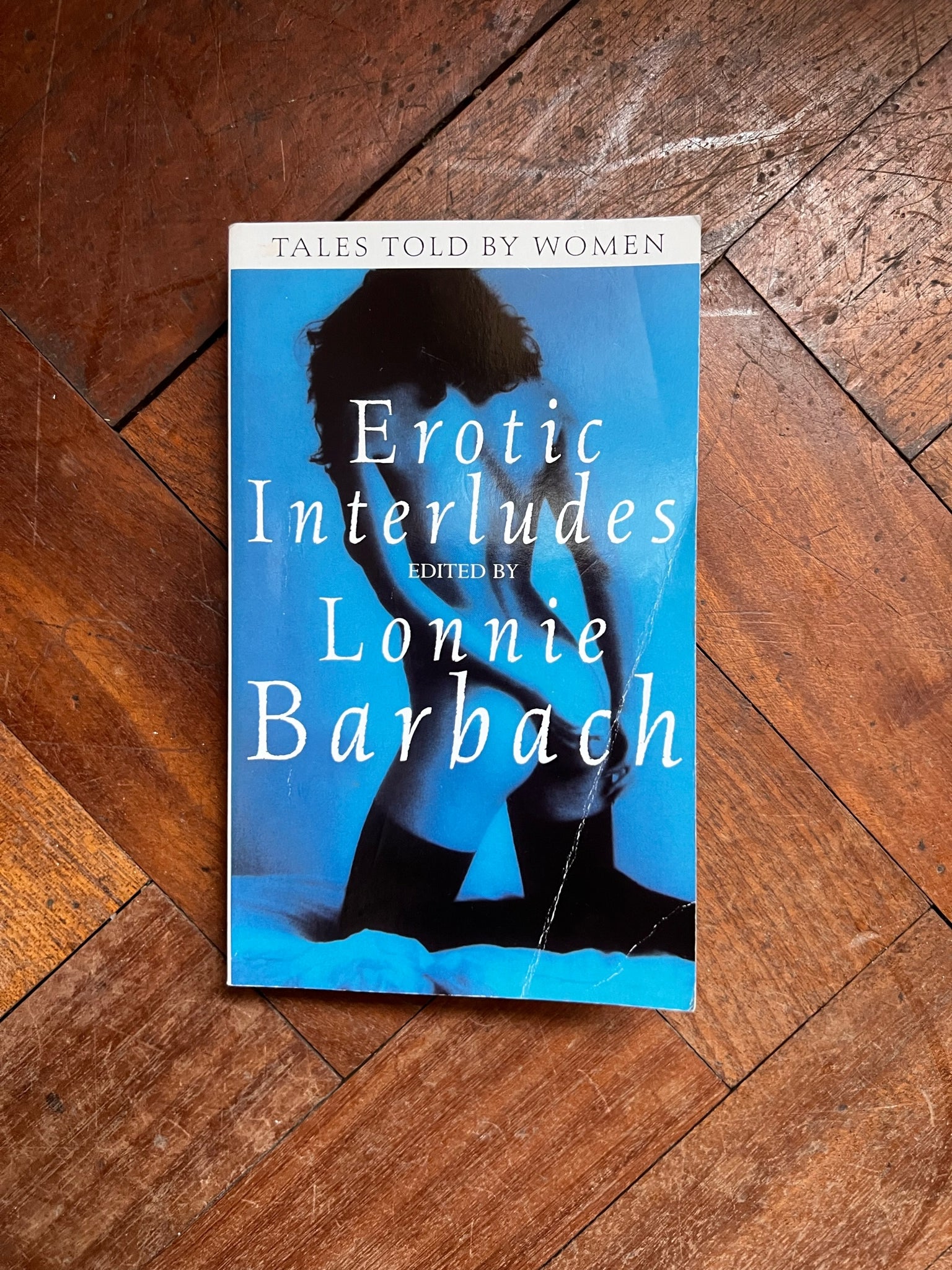 Erotic Interludes Tales Told by Woman - Lonnie Barbach