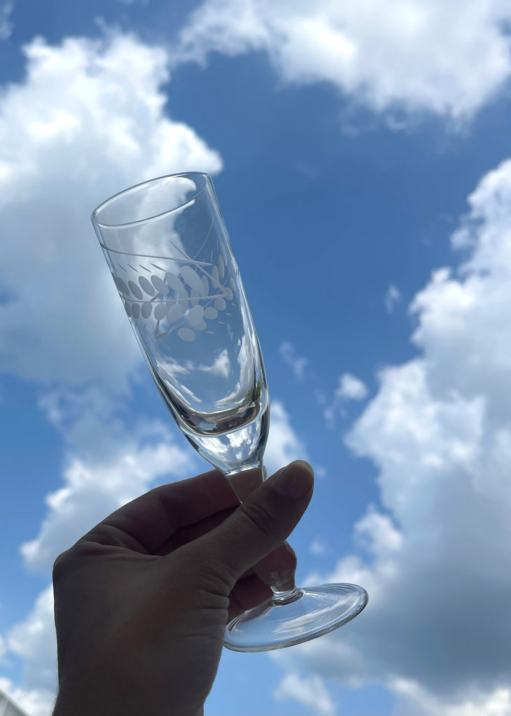 Bohemian Glass Champagne Flutes