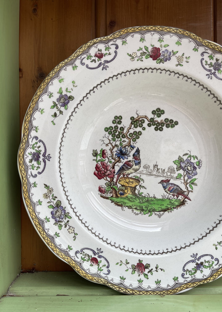 Copeland Spode &